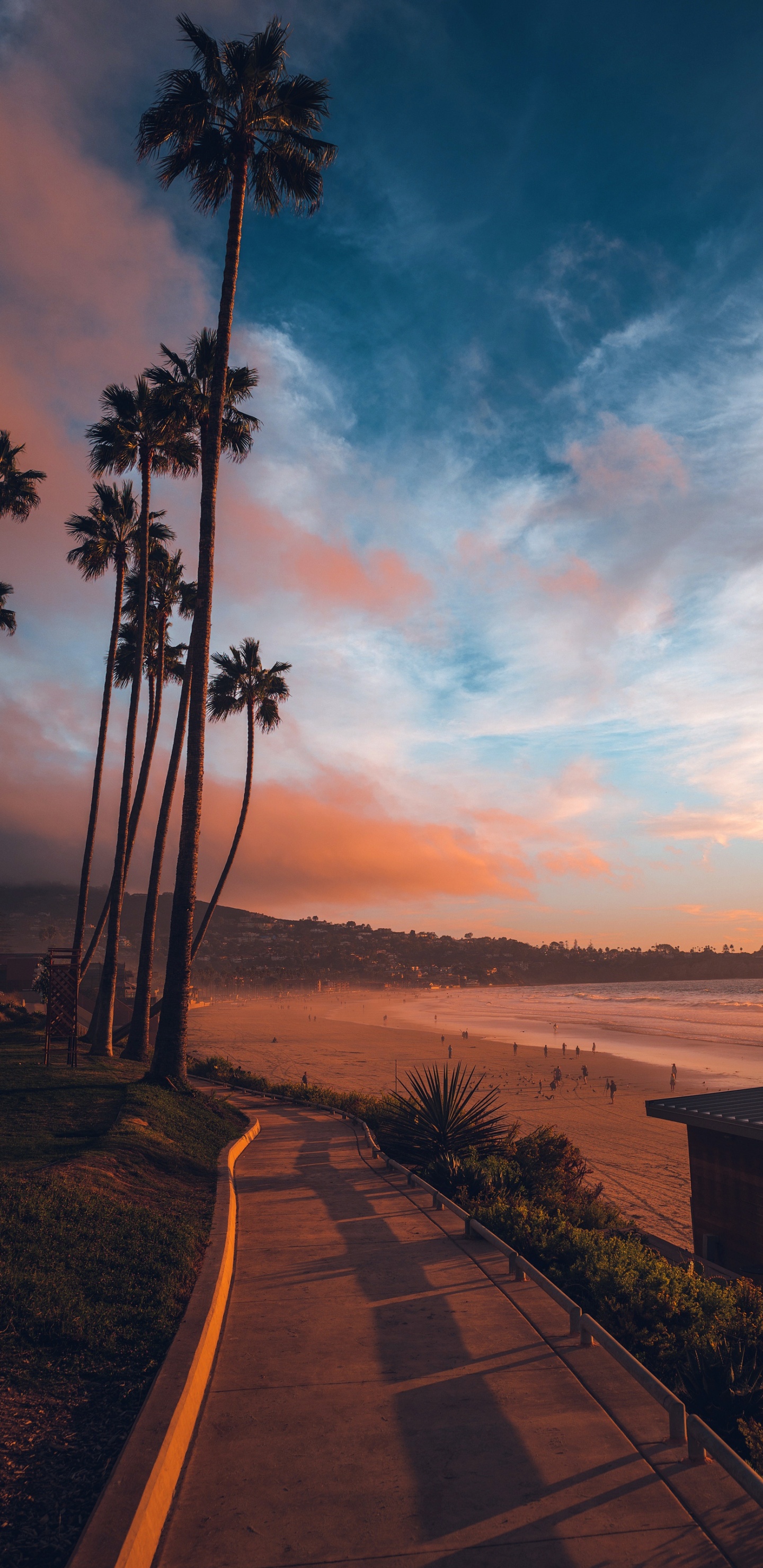 The Dictionary of Obscure Sorrows, la Jolla, Cloud, Plant, Afterglow. Wallpaper in 1440x2960 Resolution