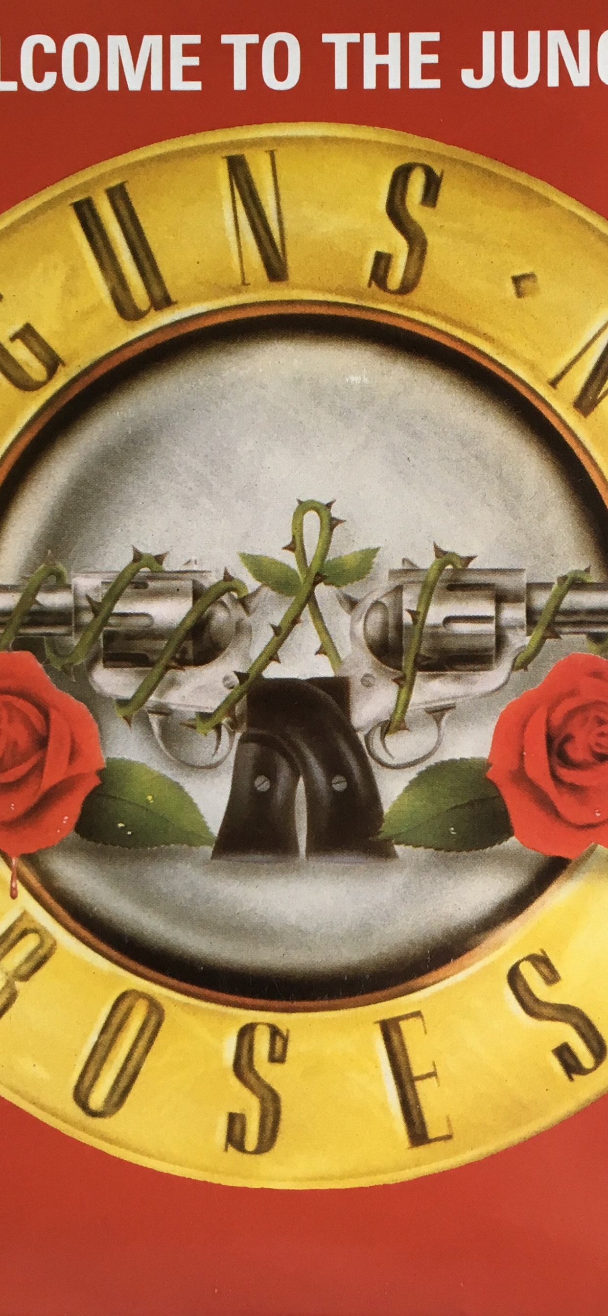 Guns N Roses, Hard Rock, Bienvenido a la Jungla, El Apetito Por la Destrucción, Su Tan Fácil. Wallpaper in 1242x2688 Resolution