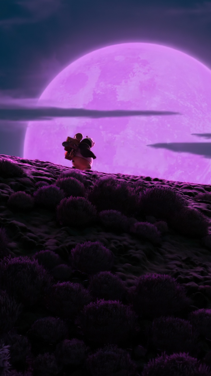 Animación DreamWorks, Maestro Shifu, Agua, Ambiente, Morado. Wallpaper in 720x1280 Resolution