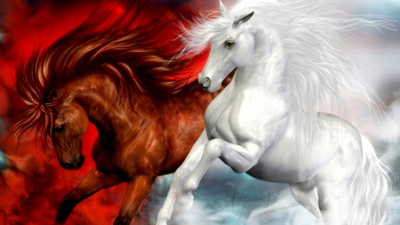 White Horse With Brown Hair. Wallpaper in 1366x768 Resolution