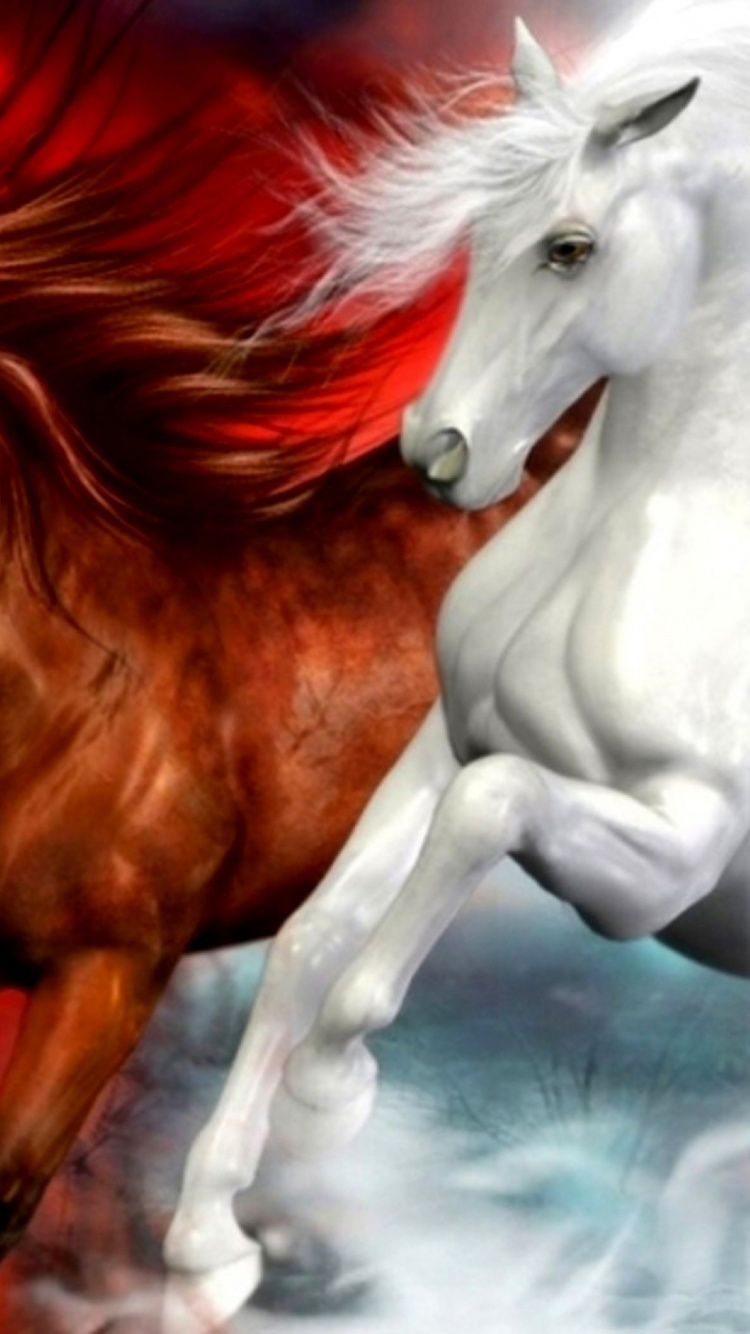 White Horse With Brown Hair. Wallpaper in 750x1334 Resolution