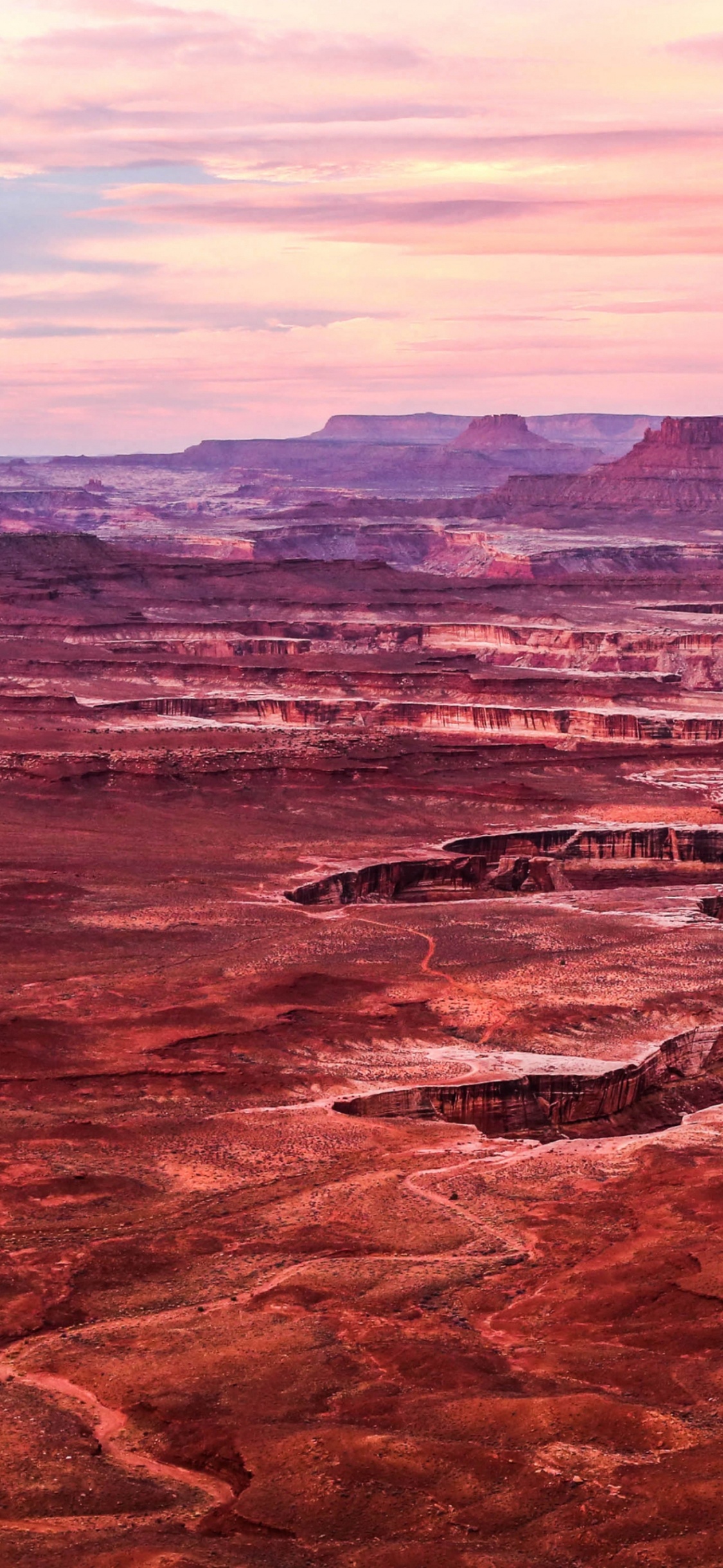 Google Pixel, el Parque Nacional Canyonlands, Pixel, Google Pixel 3a Xl, Pixel 4. Wallpaper in 1125x2436 Resolution