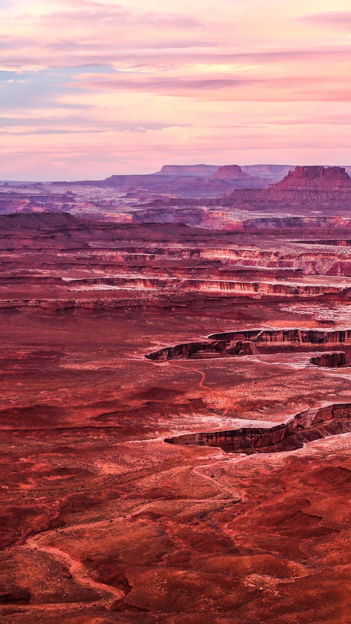 Google Pixel, el Parque Nacional Canyonlands, Pixel, Google Pixel 3a Xl, Pixel 4. Wallpaper in 1440x2560 Resolution