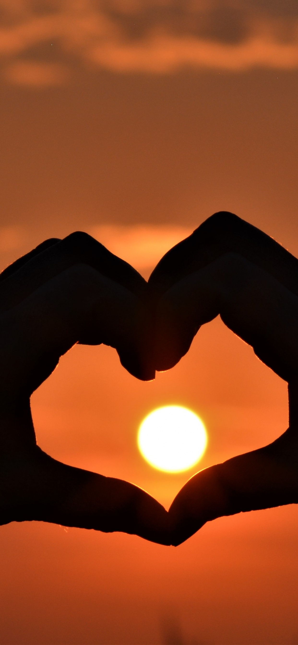 Cœur, Main, La Main du Coeur, Amour, Doigt. Wallpaper in 1242x2688 Resolution