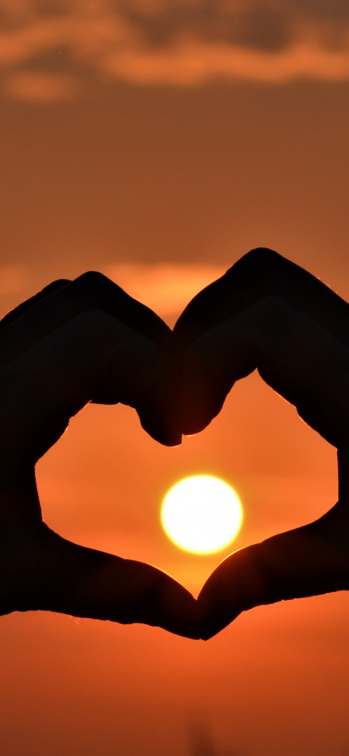 Heart, Hand, Hand Heart, Romance, Love. Wallpaper in 1125x2436 Resolution