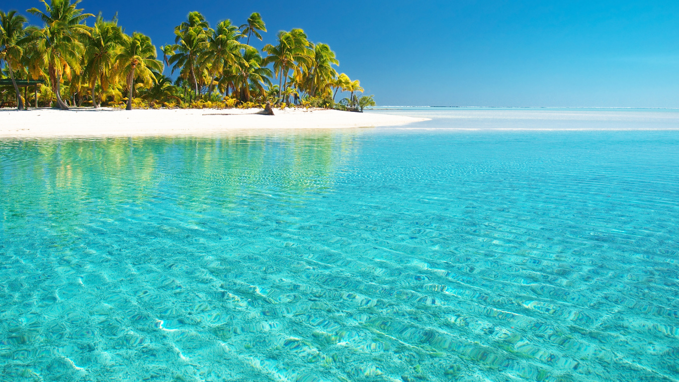 Green Palm Trees on Blue Sea Under Blue Sky During Daytime. Wallpaper in 1366x768 Resolution