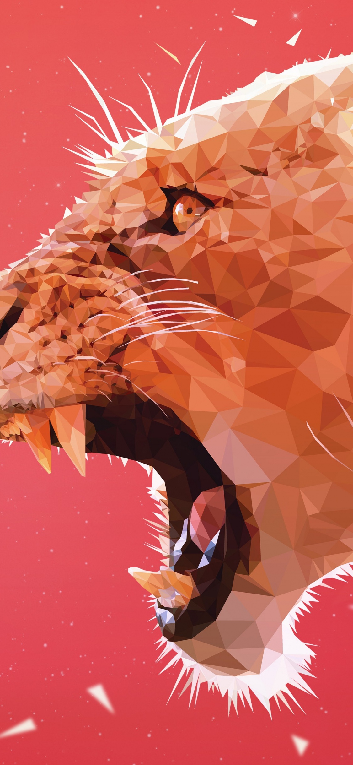 Brown Giraffe in Water During Daytime. Wallpaper in 1125x2436 Resolution