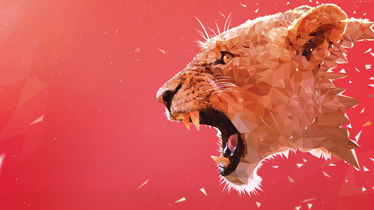 狮子, 食肉, 关闭了, 狮子吼, 红色的 壁纸 1280x720 允许