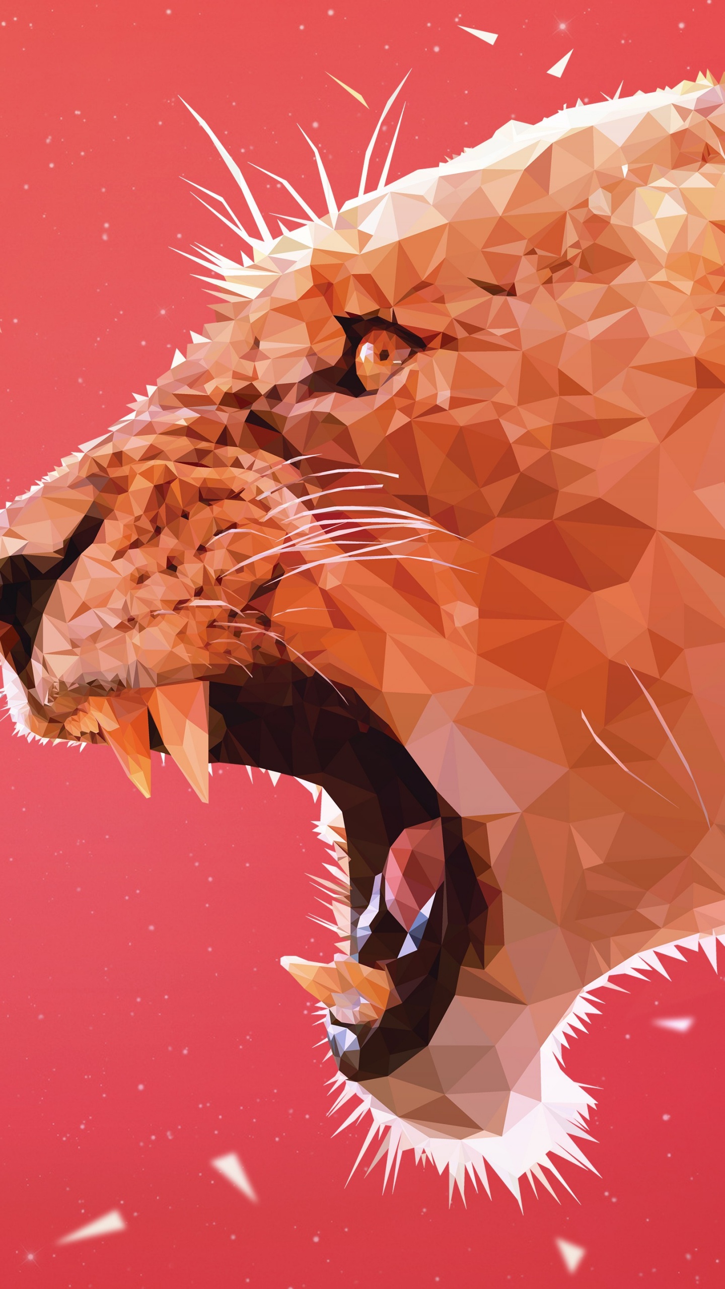 狮子, 食肉, 关闭了, 狮子吼, 红色的 壁纸 1440x2560 允许
