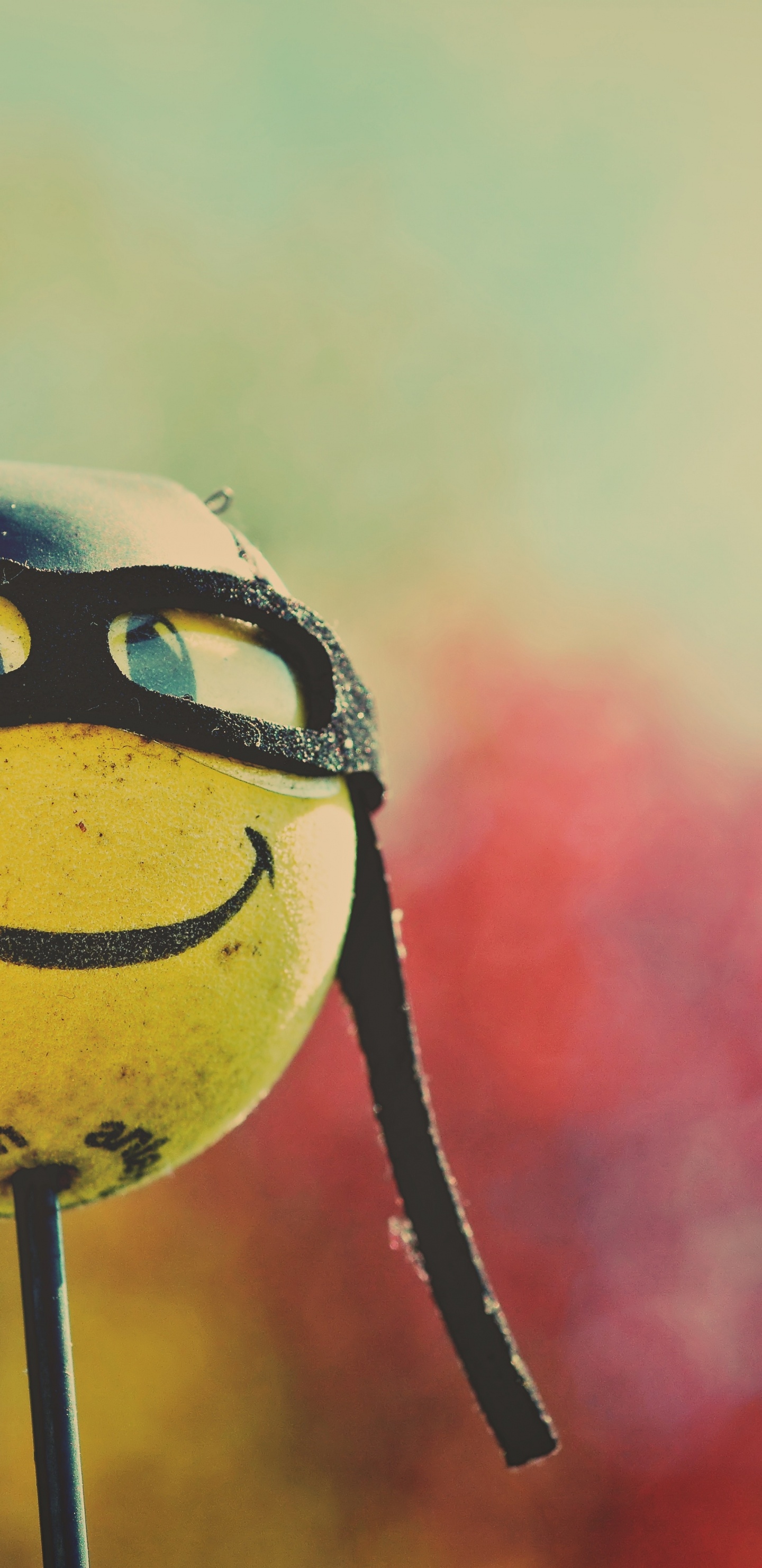 Smiley, Cabeza, Sonrisa, Emoticono, Gesto. Wallpaper in 1440x2960 Resolution