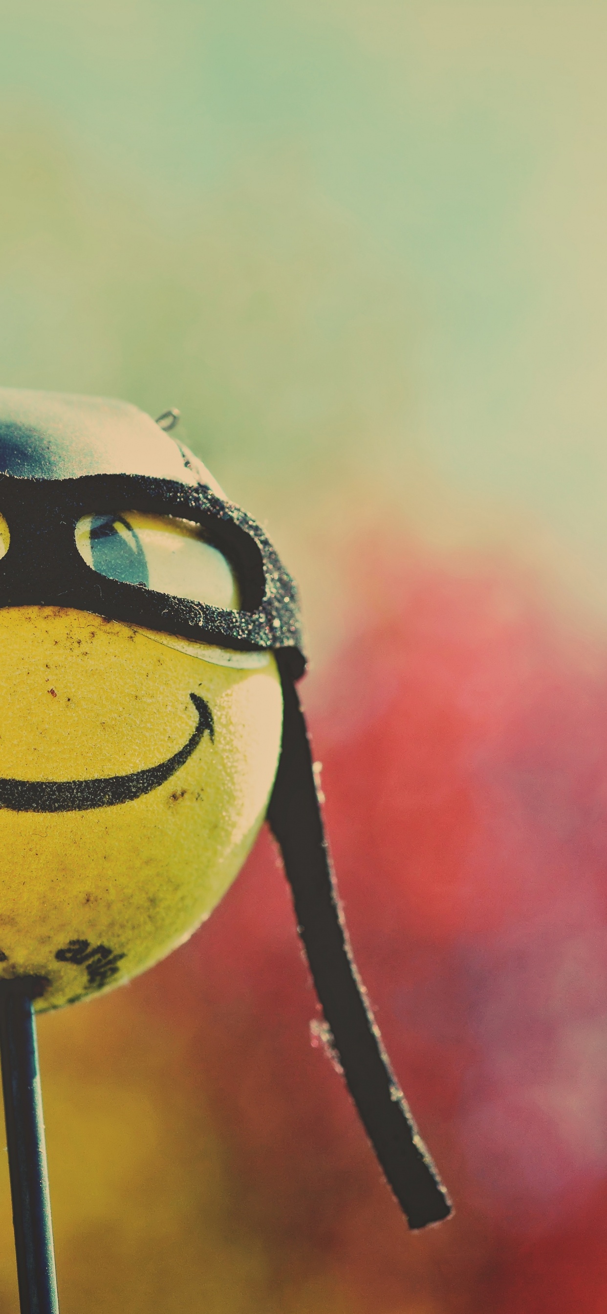 Smiley, Tête, Sourire, Émoticône, Geste. Wallpaper in 1242x2688 Resolution