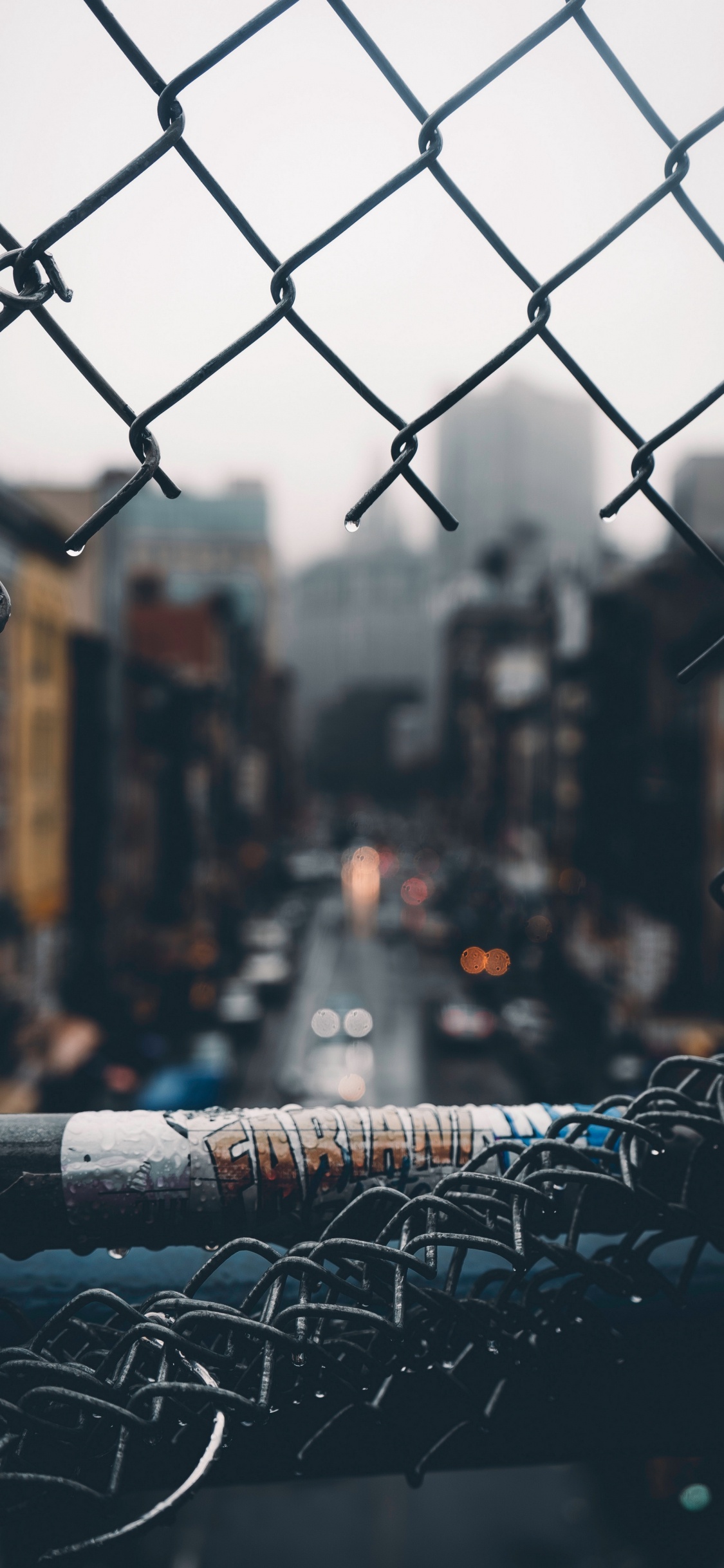 白色, 光, 性质, 黑色的, 栅栏 壁纸 1125x2436 允许