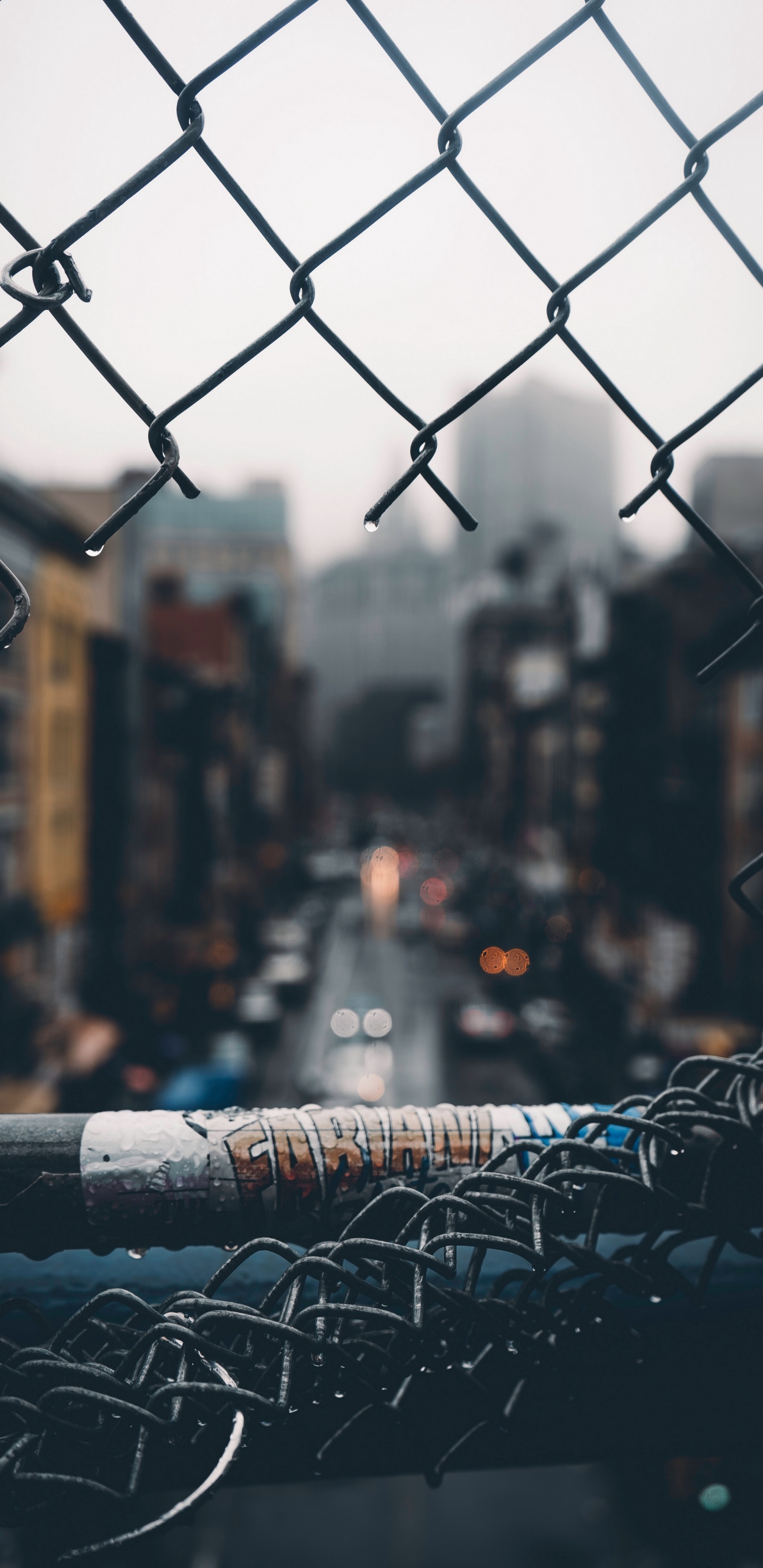 Daytime, Cloud, Water, White, Light. Wallpaper in 1440x2960 Resolution