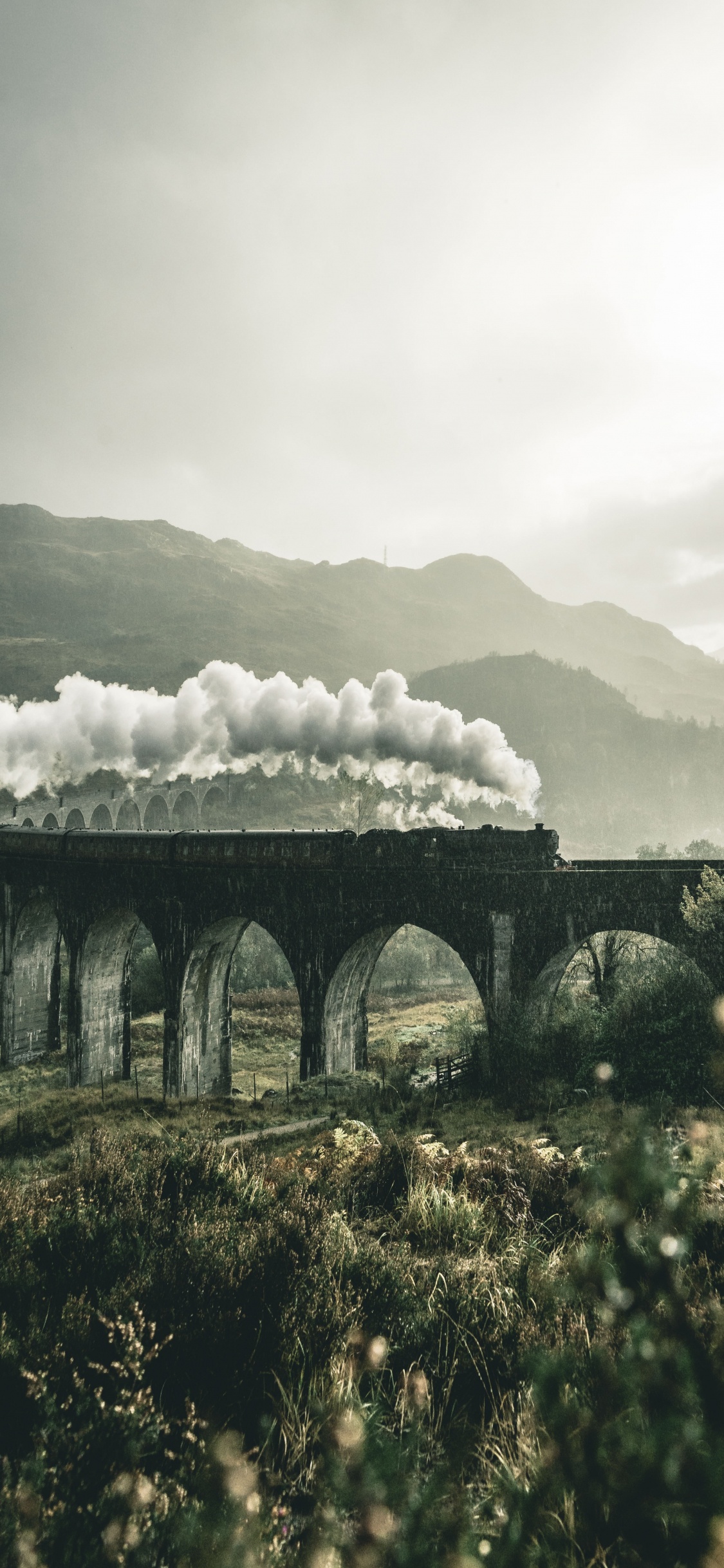 Esthétique de Harry Potter, Harry Potter, Maison Serpentard, Esthétique, Draco Malfoy. Wallpaper in 1125x2436 Resolution