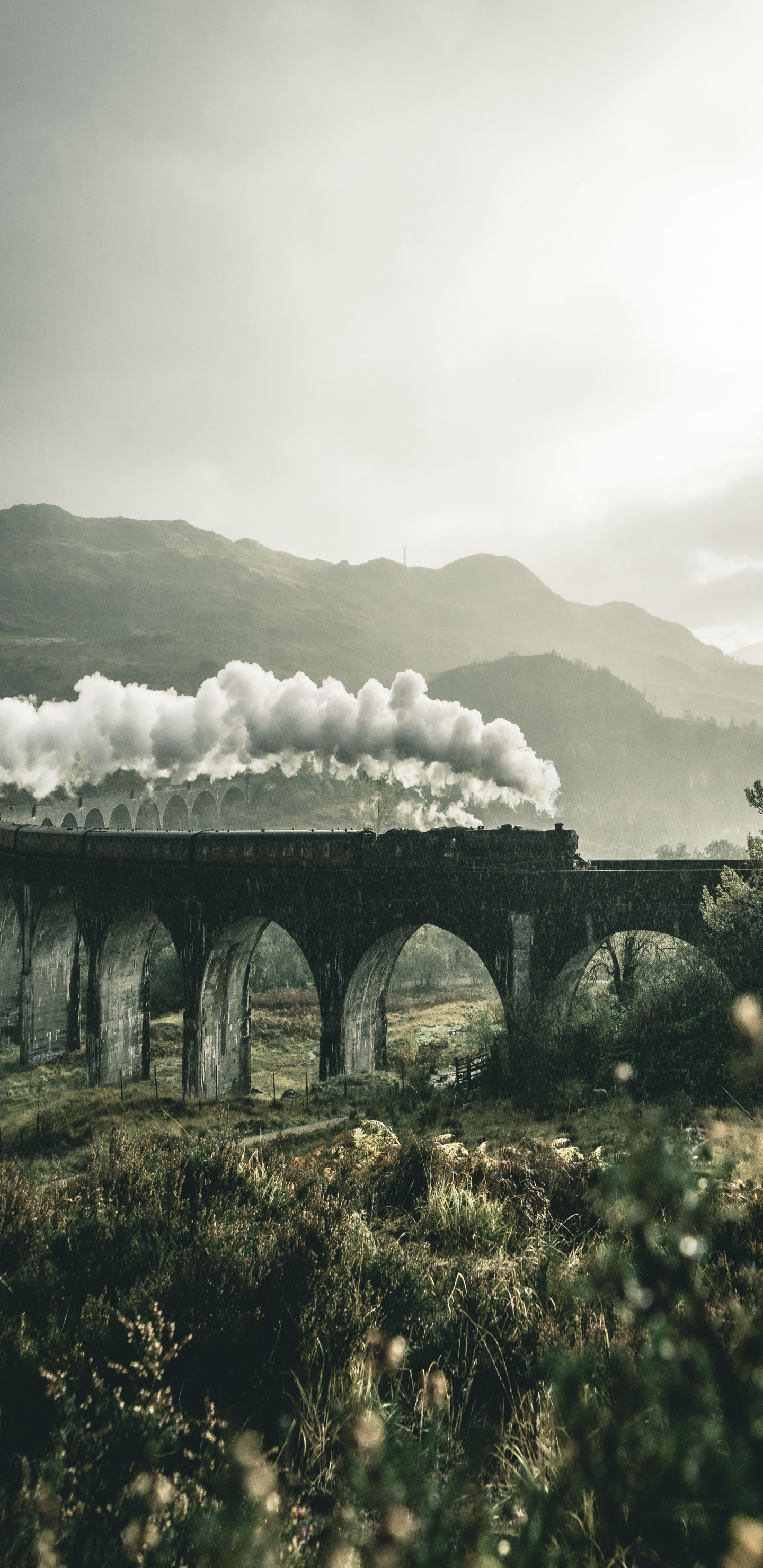 Harry Potter Ästhetik, Harry Potter, Zauberwelt, Slytherin Haus, Ästhetik. Wallpaper in 1440x2960 Resolution