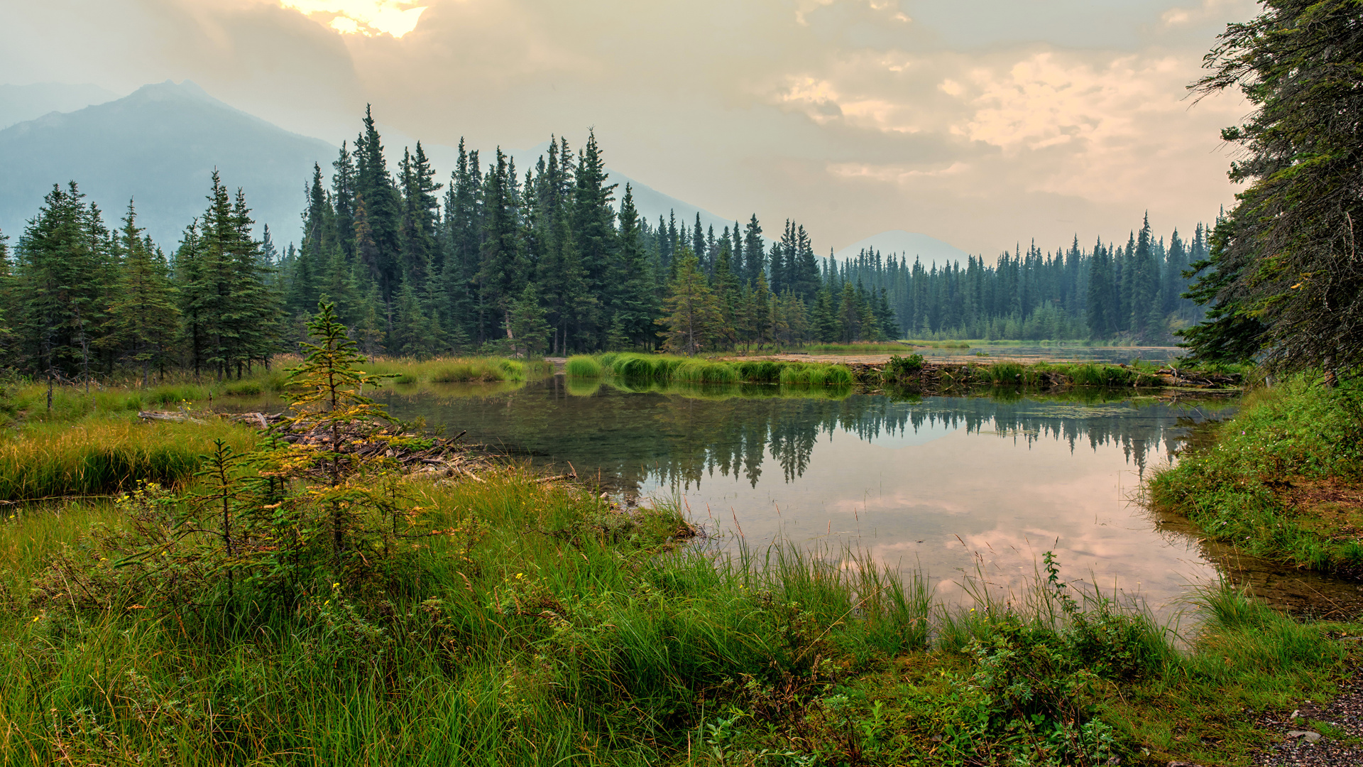 Green Trees Beside River Under Cloudy Sky During Daytime. Wallpaper in 1920x1080 Resolution