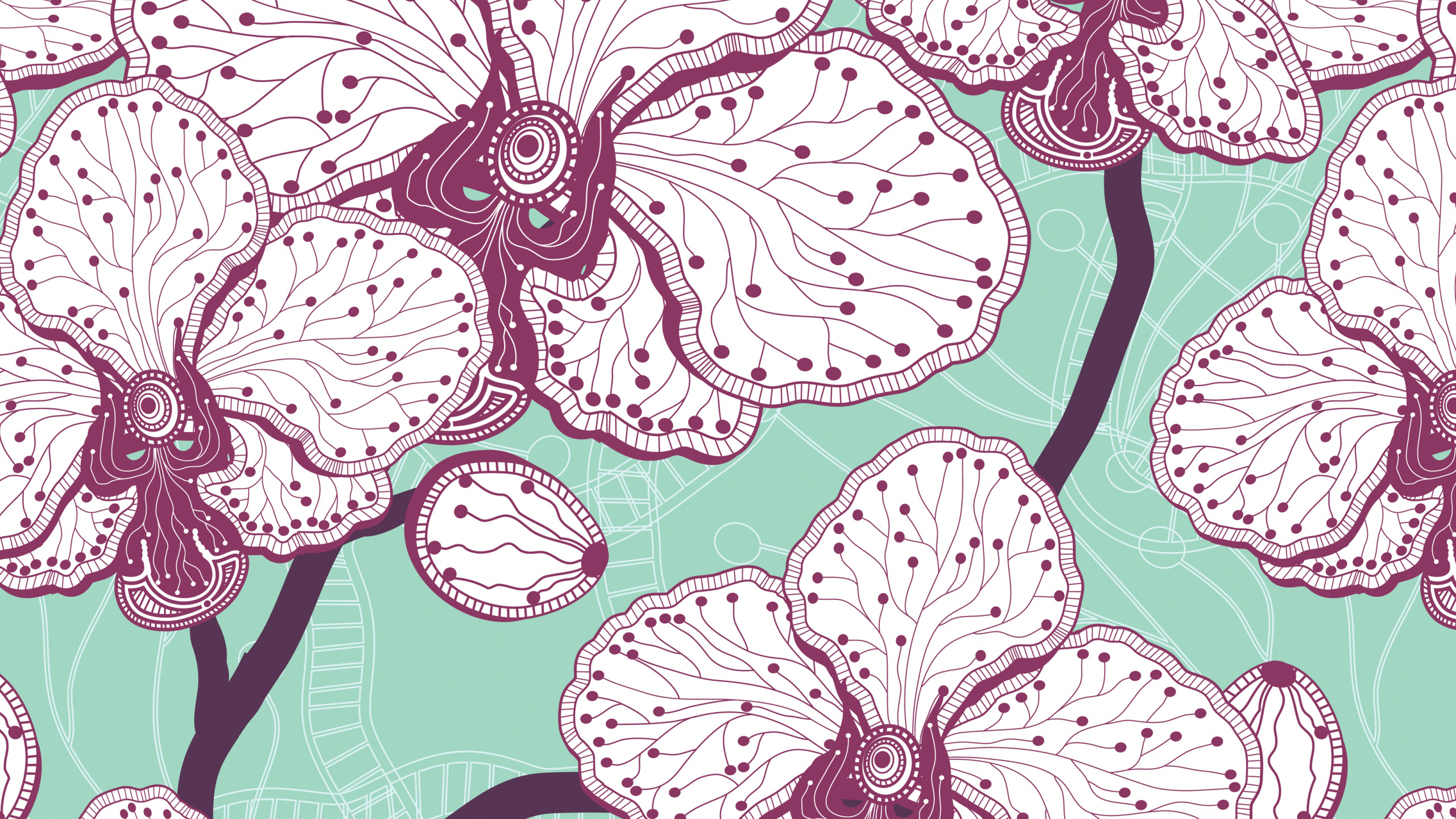 Weiße Und Rosa Blumenillustration. Wallpaper in 2560x1440 Resolution