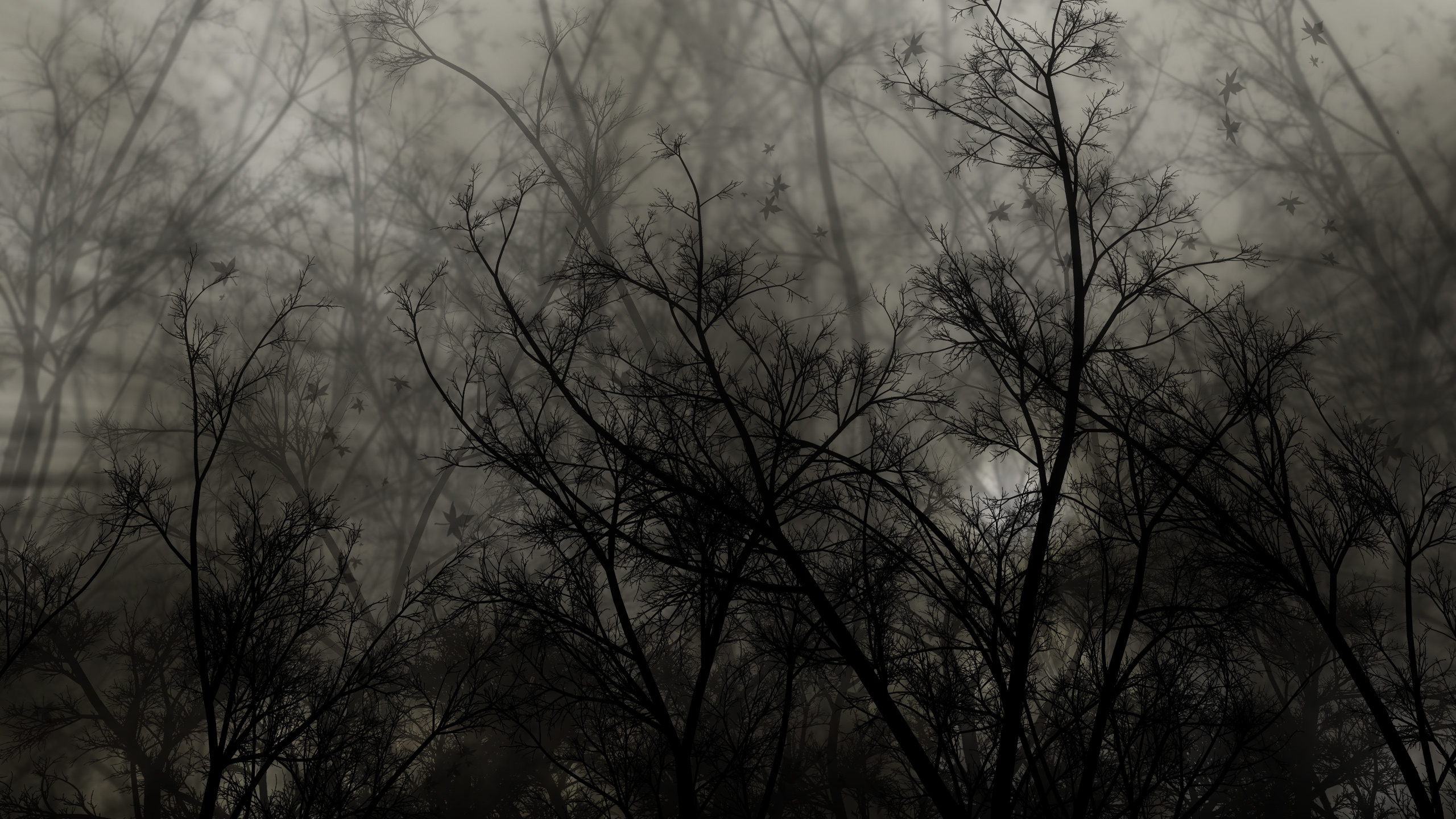 Green Trees Under White Sky During Daytime. Wallpaper in 2560x1440 Resolution