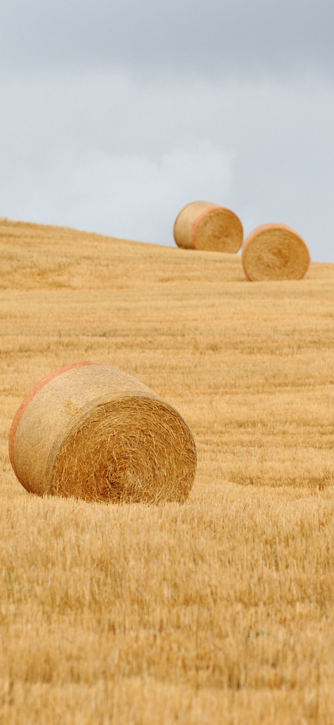 Brown Grass Field Under Blue Sky During Daytime. Wallpaper in 1125x2436 Resolution