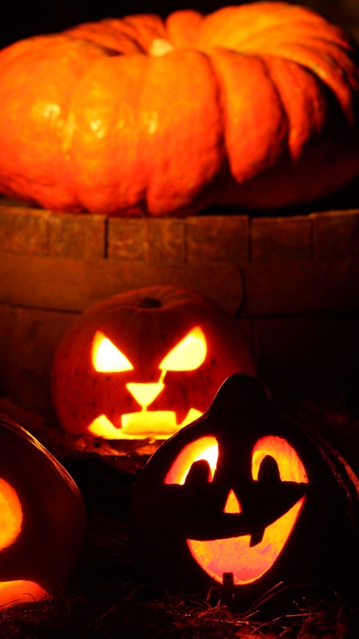 Calabaza de Invierno, Cucurbita, Calabaza, Talla, Calabazas De Halloween. Wallpaper in 720x1280 Resolution