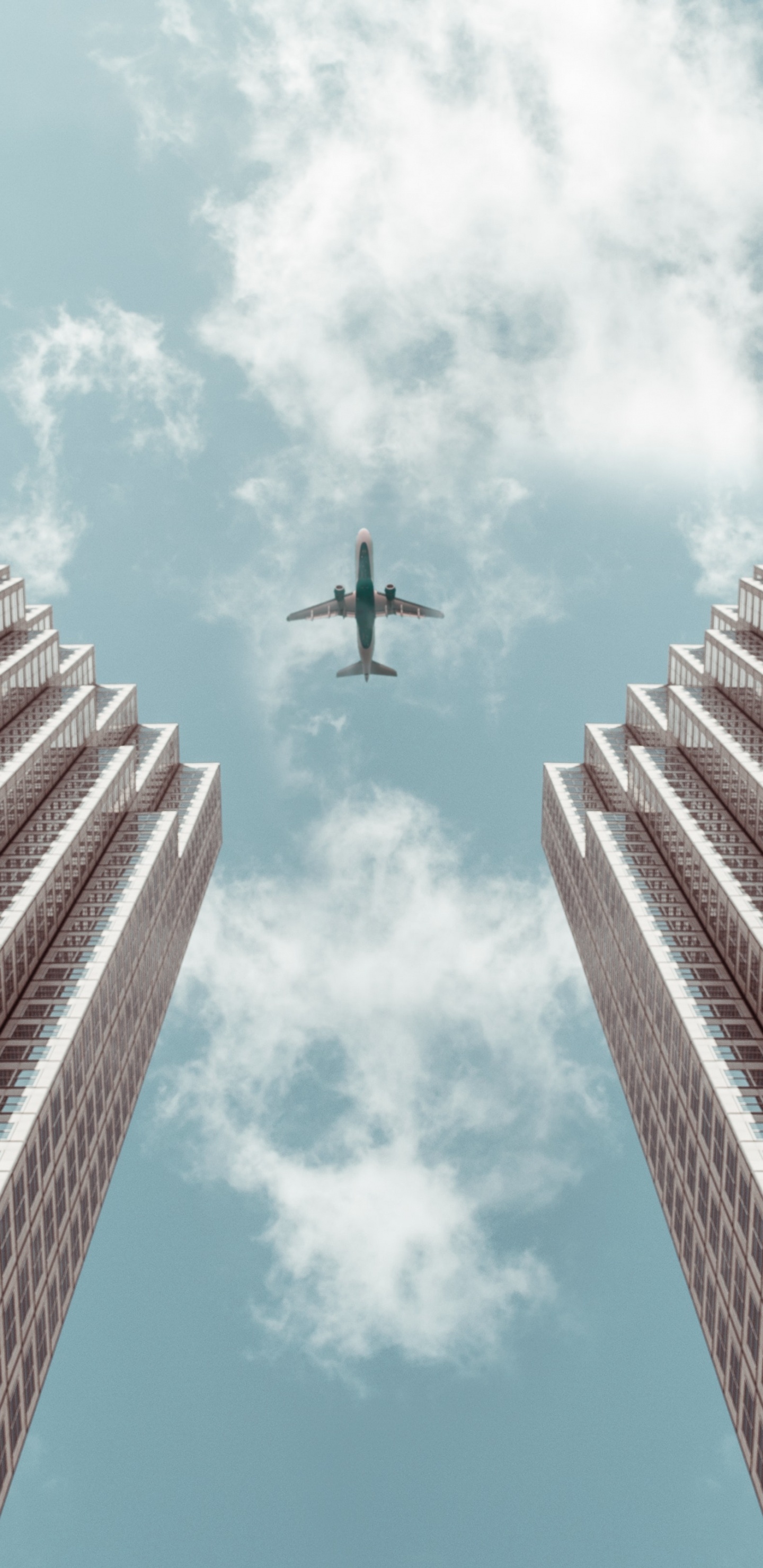 Black Bird Flying Over The Building During Daytime. Wallpaper in 1440x2960 Resolution