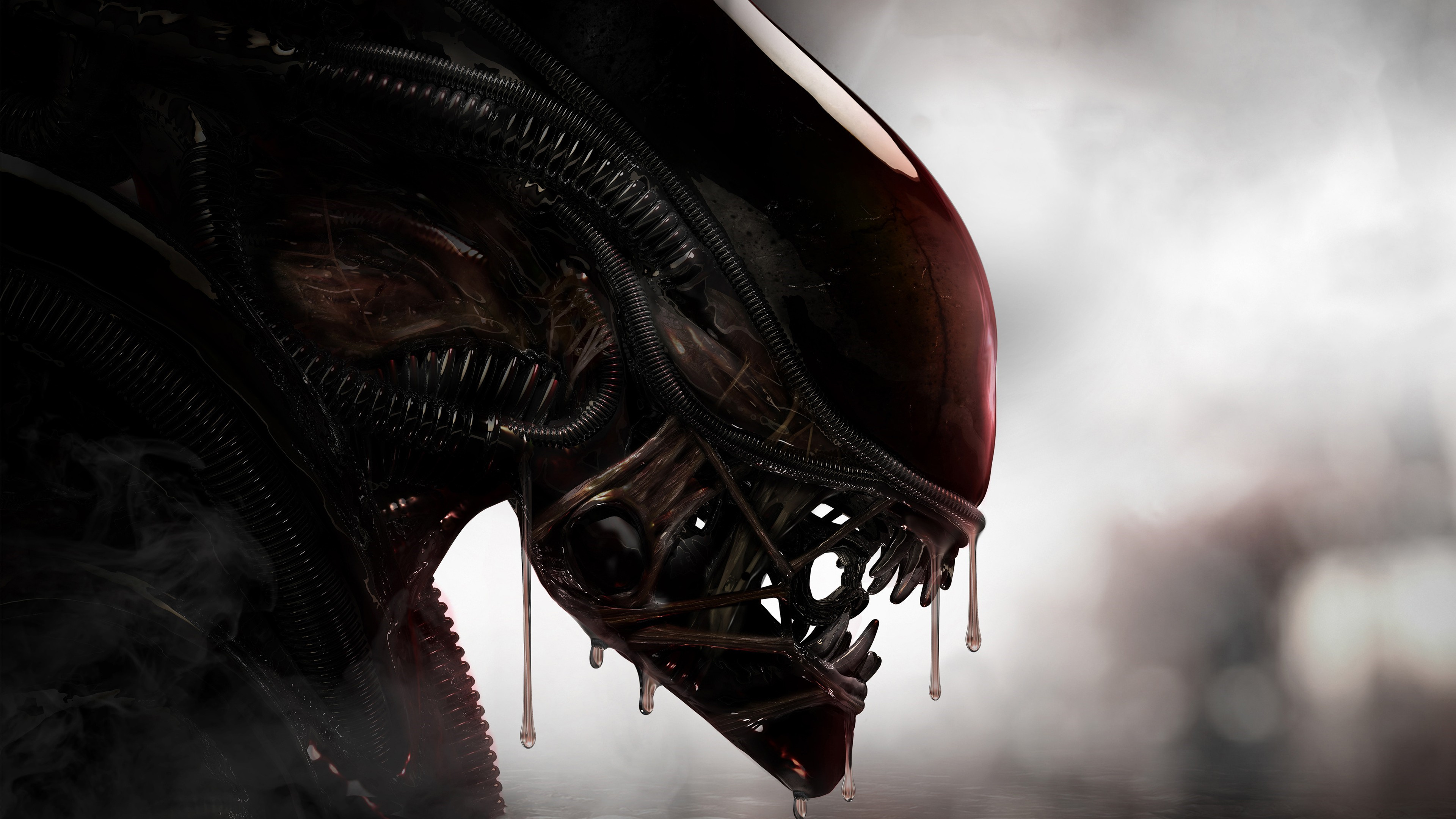 Brauner Und Schwarzer Drachenkopf. Wallpaper in 3840x2160 Resolution