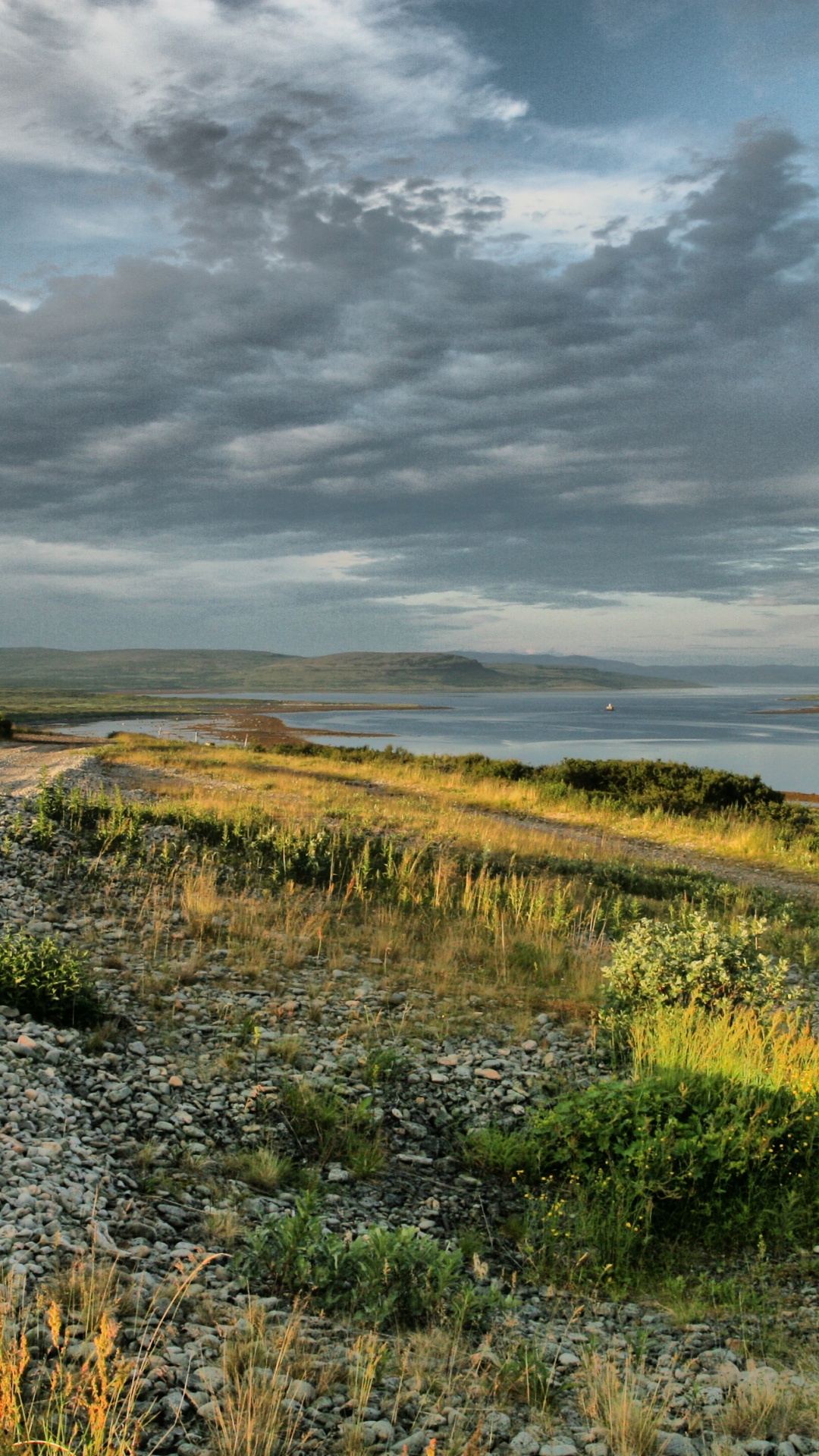Champ D'herbe Verte Sous un Ciel Nuageux Pendant la Journée. Wallpaper in 1080x1920 Resolution