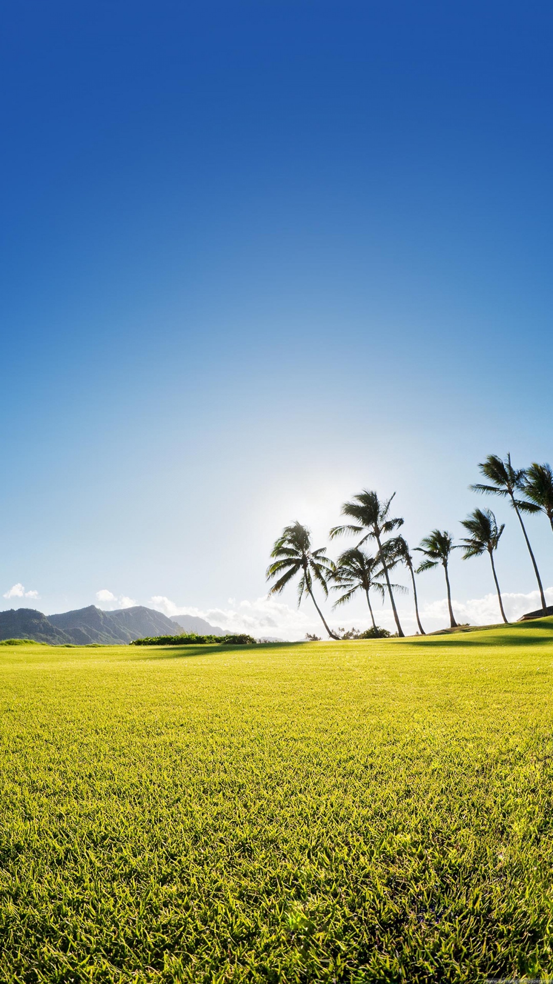 Champ, Nature, Paysage Naturel, Prairie, Green. Wallpaper in 1080x1920 Resolution