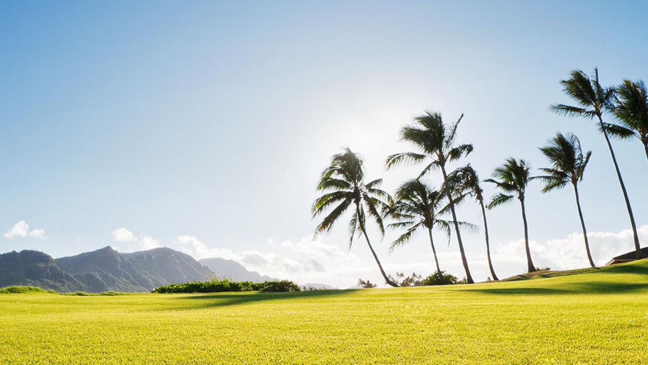 Champ, Nature, Paysage Naturel, Prairie, Green. Wallpaper in 1280x720 Resolution