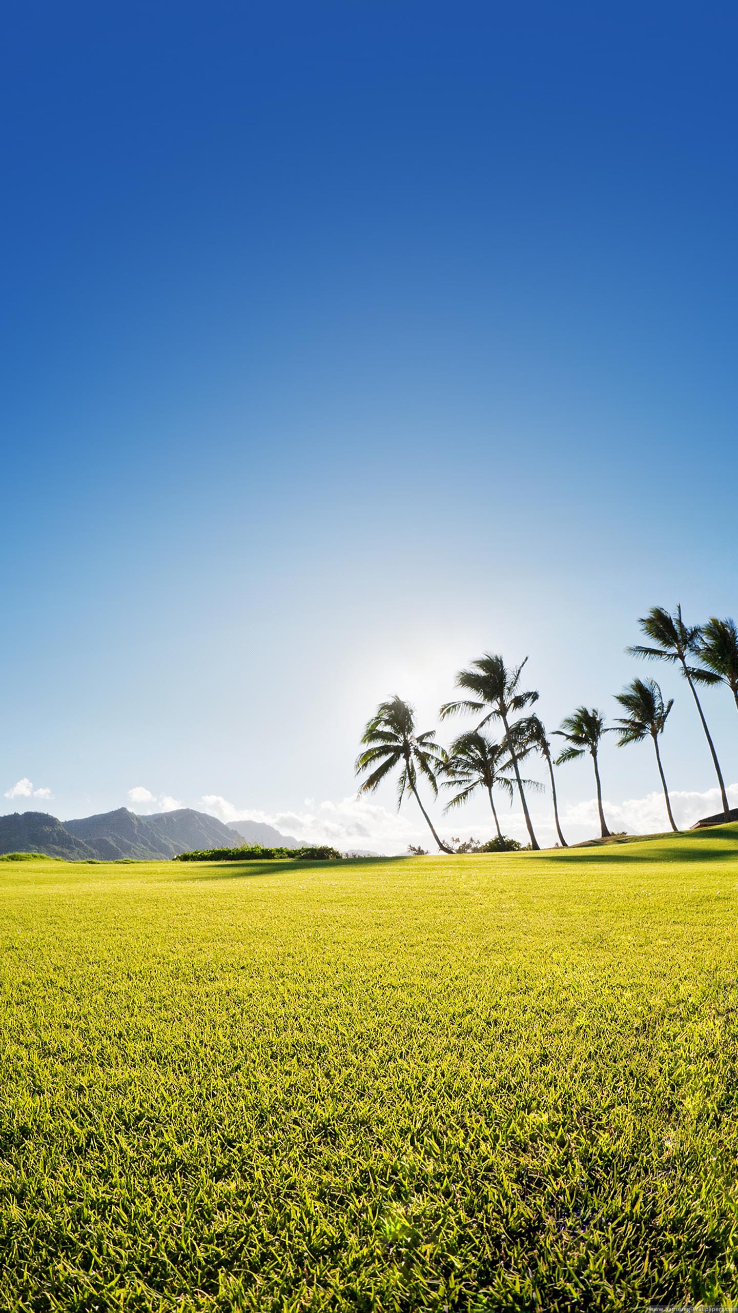 Field, Nature, Natural Landscape, Grassland, Green. Wallpaper in 1440x2560 Resolution