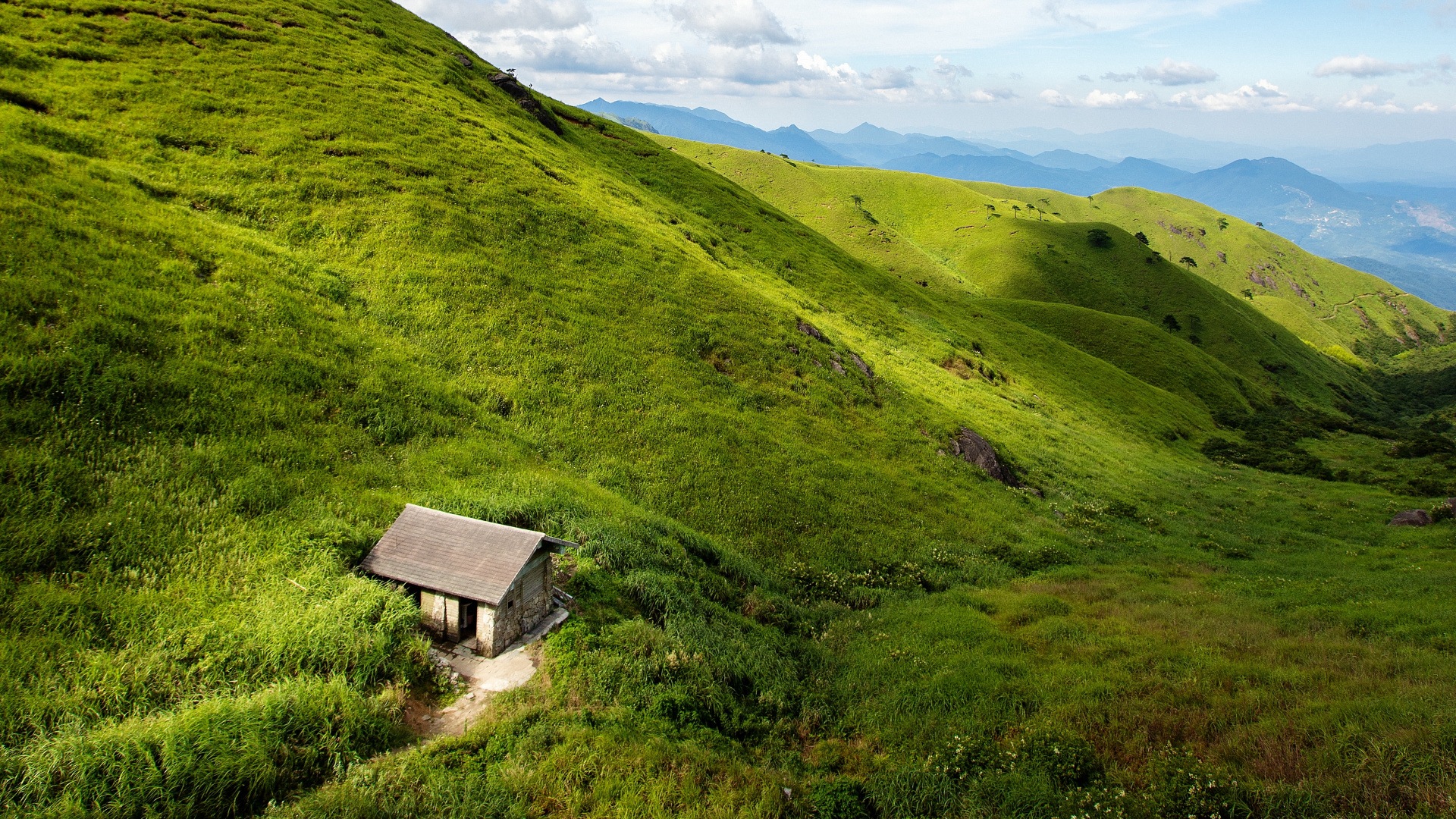 Cloud, Plant, Mountain, Plant Community, Ecoregion. Wallpaper in 1920x1080 Resolution