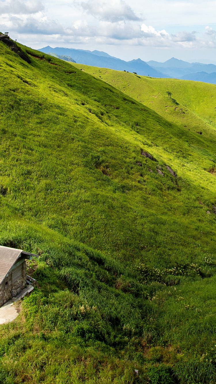 Cloud, Plant, Mountain, Plant Community, Ecoregion. Wallpaper in 750x1334 Resolution