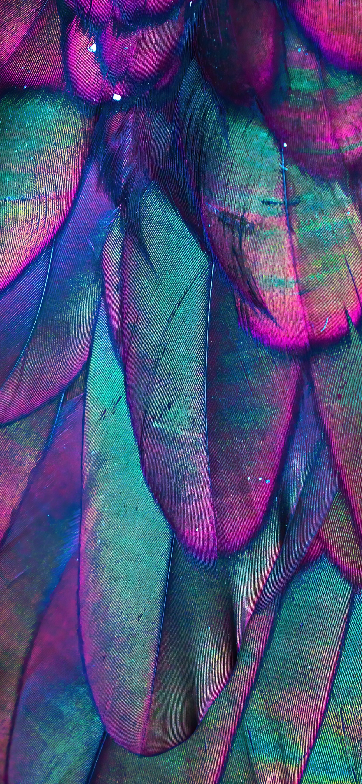 Close Up, Purple, Azure, Petal, Textile. Wallpaper in 1242x2688 Resolution