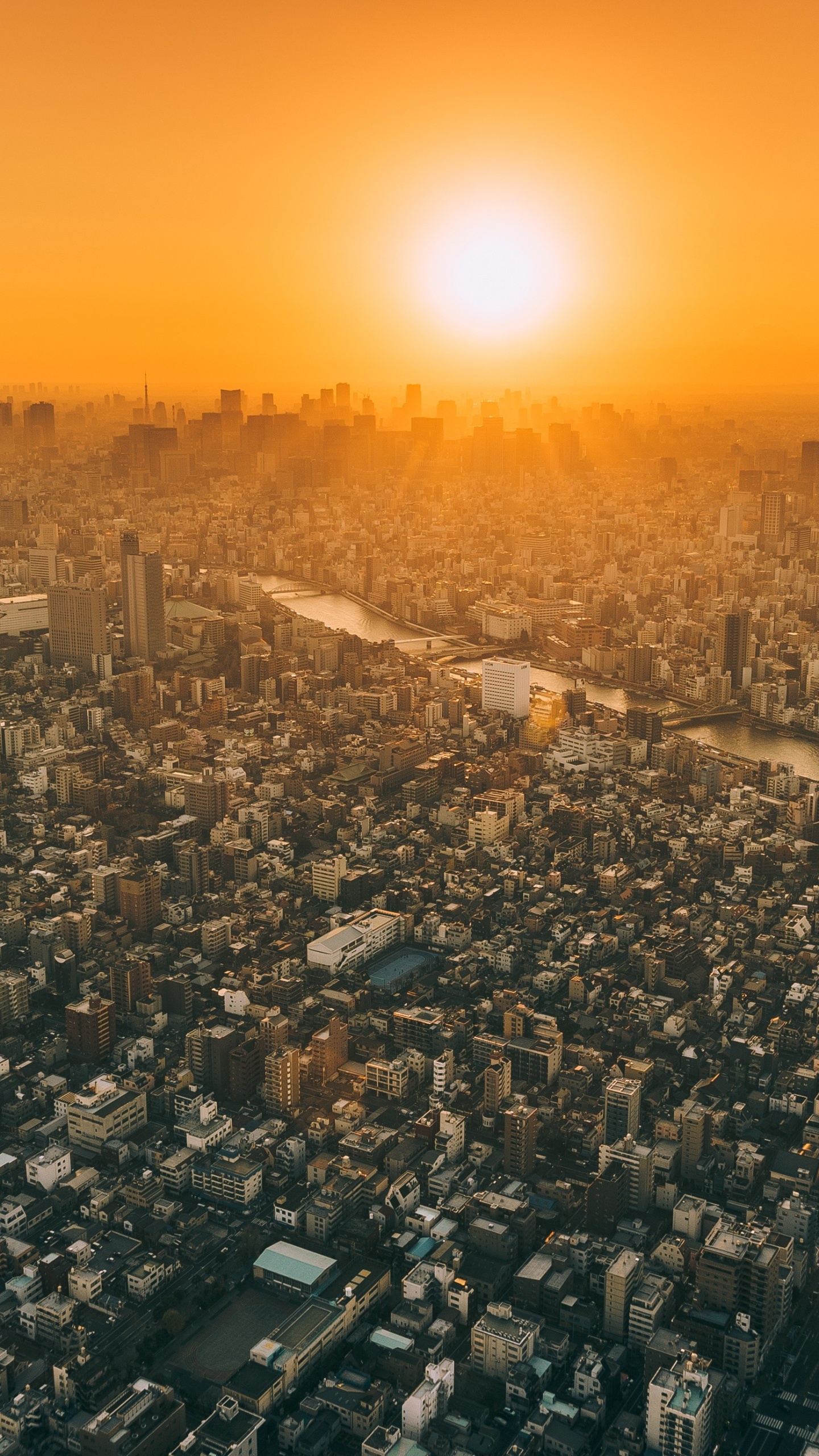 城市景观, 城市, 大都会, 人类住区, 日本 壁纸 1440x2560 允许