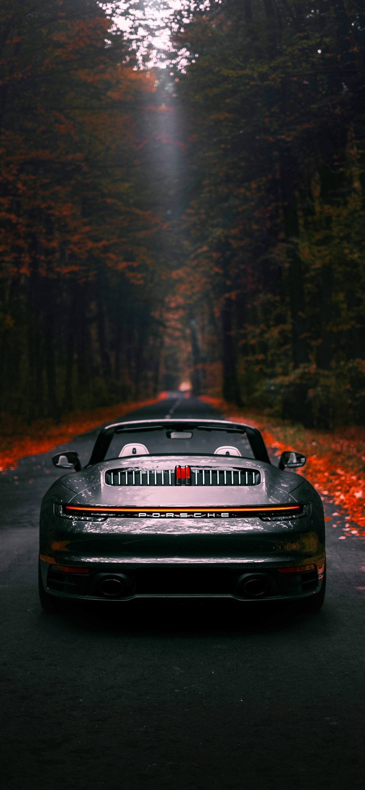 Porsche, Porsche 911, Car, Sportwagen, Dring Hcf Porsche Ag. Wallpaper in 1242x2688 Resolution