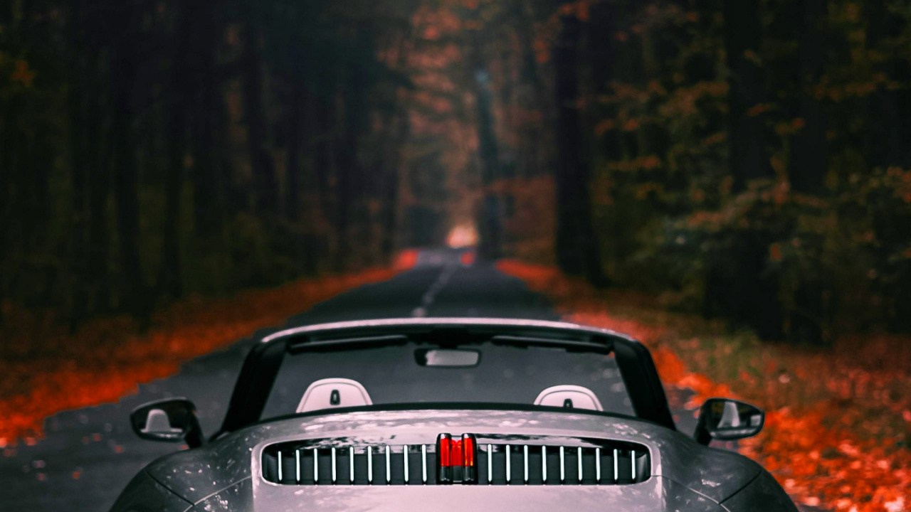 Porsche, Porsche 911, Coche, Deportivo, dr Ing Hcf Porsche Ag. Wallpaper in 1280x720 Resolution