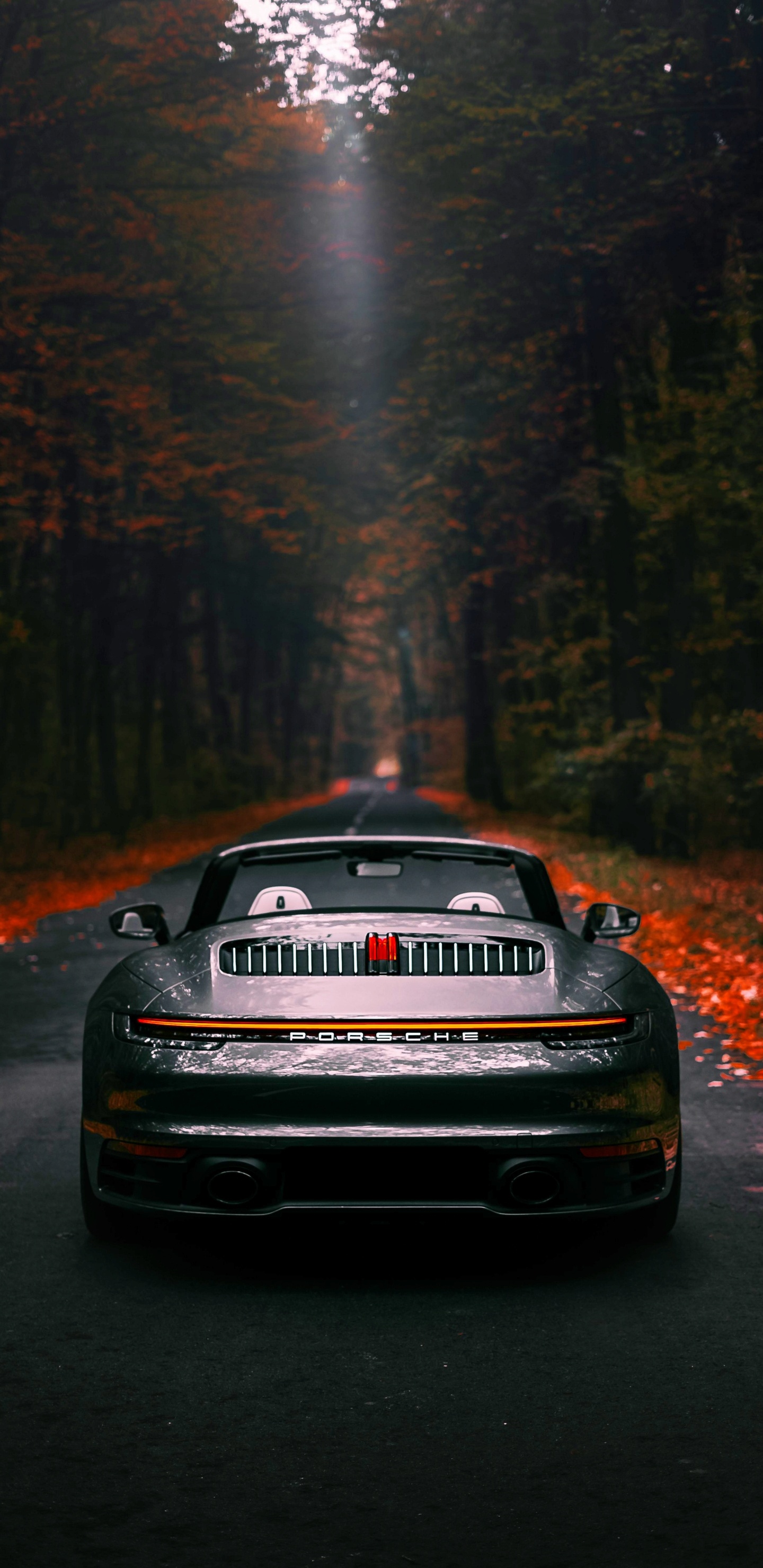 Porsche, Porsche 911, Coche, Deportivo, dr Ing Hcf Porsche Ag. Wallpaper in 1440x2960 Resolution
