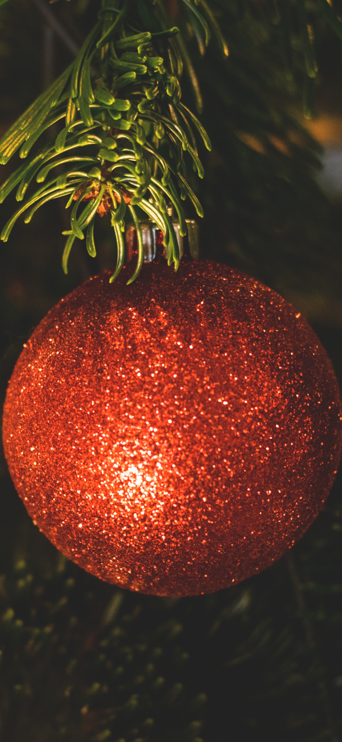 Christmas Decoration, Christmas Ornament, Christmas Day, Christmas Tree, Holiday. Wallpaper in 1125x2436 Resolution