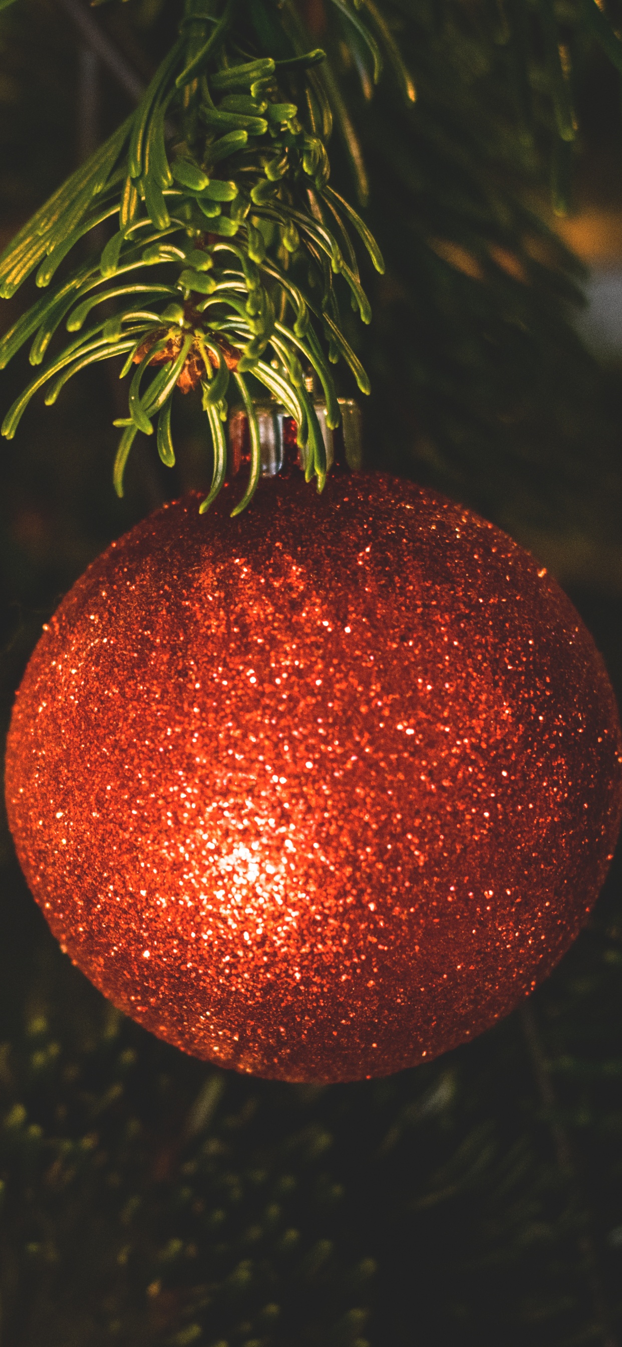 Christmas Decoration, Christmas Ornament, Christmas Day, Christmas Tree, Holiday. Wallpaper in 1242x2688 Resolution