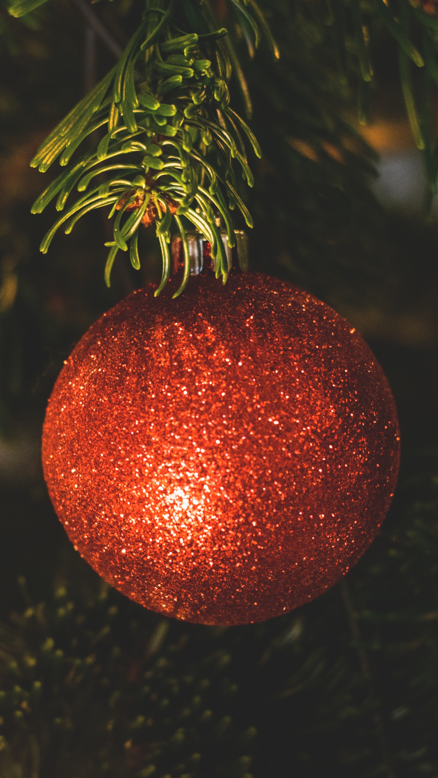 Christmas Decoration, Christmas Ornament, Christmas Day, Christmas Tree, Holiday. Wallpaper in 1440x2560 Resolution