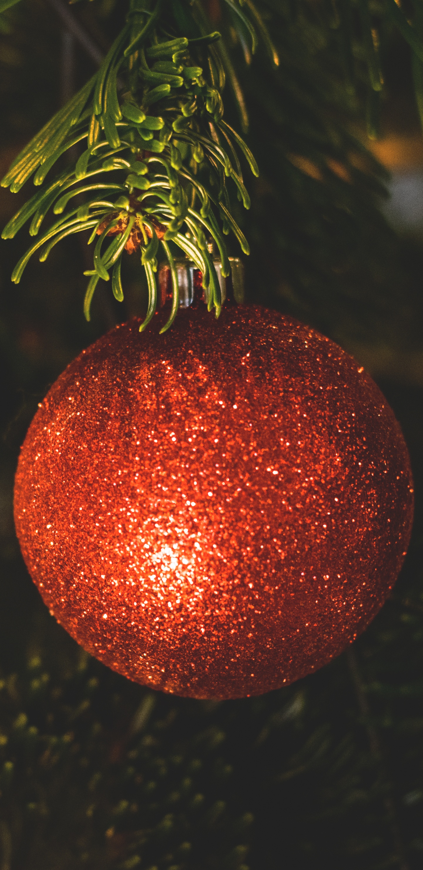 Décoration de Noël, Ornement de Noël, Le Jour De Noël, Arbre de Noël, Spruce. Wallpaper in 1440x2960 Resolution