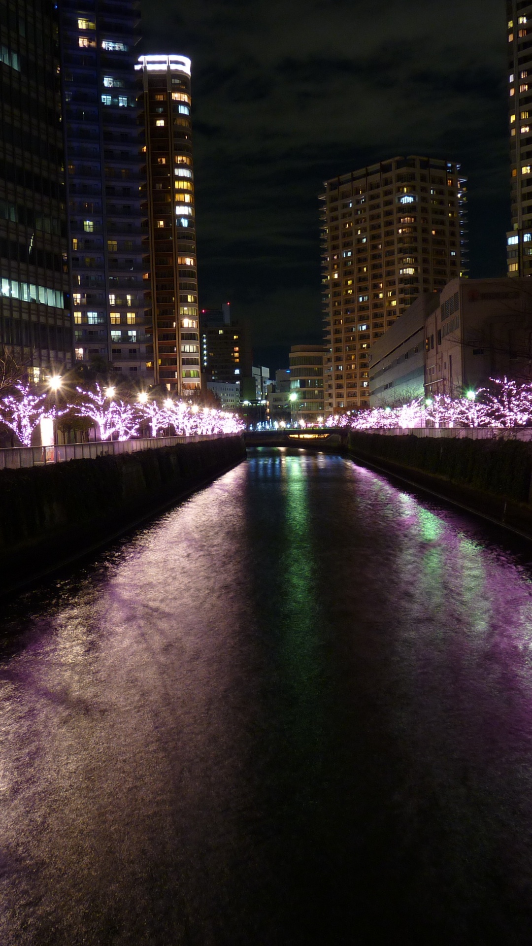 Luces Púrpuras en el Puente Durante la Noche. Wallpaper in 1080x1920 Resolution