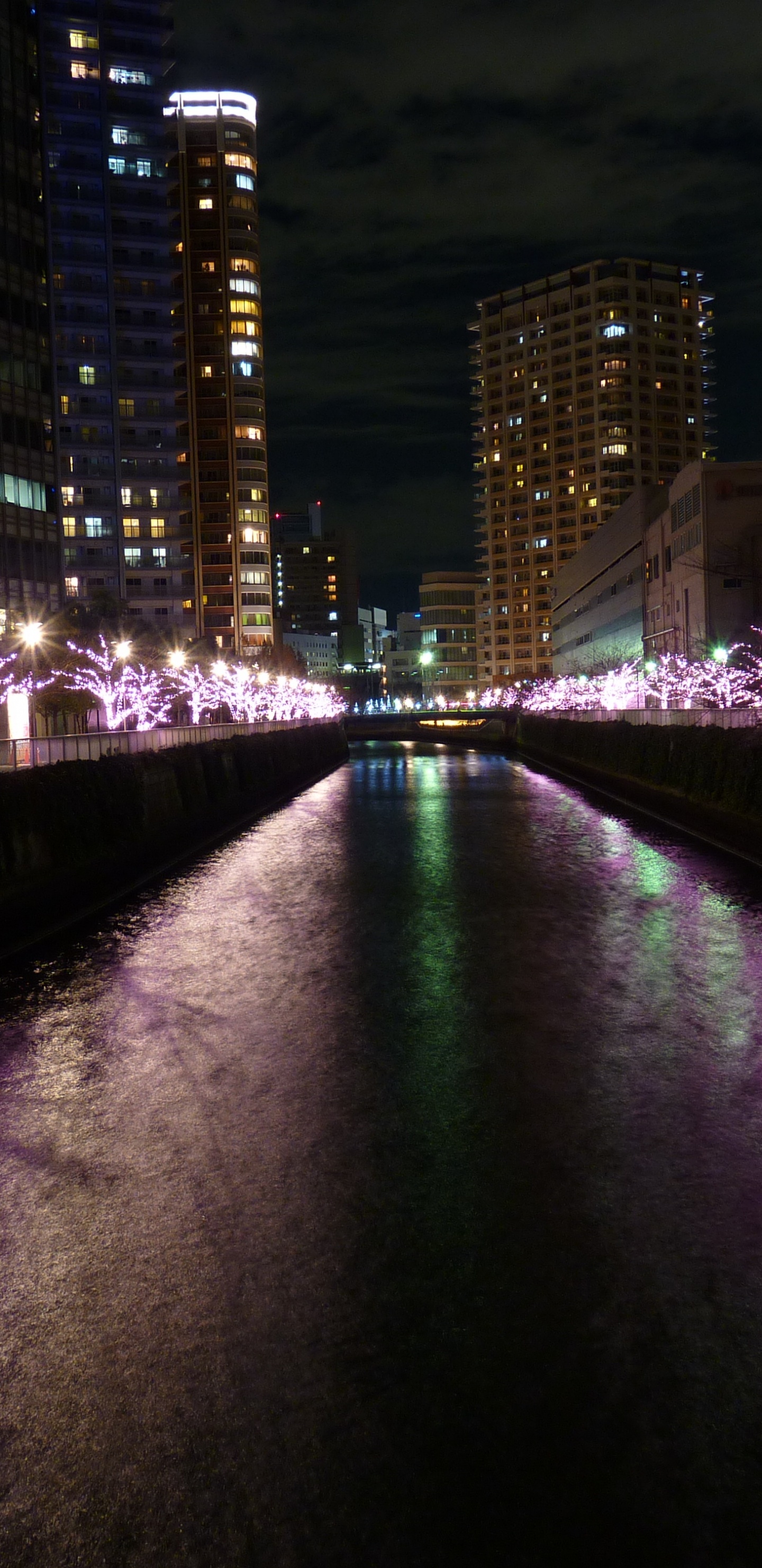 Luces Púrpuras en el Puente Durante la Noche. Wallpaper in 1440x2960 Resolution