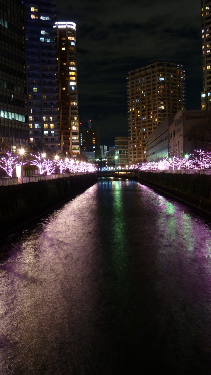 Luces Púrpuras en el Puente Durante la Noche. Wallpaper in 720x1280 Resolution