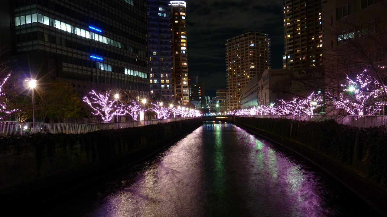 Lumières Violettes Sur le Pont Pendant la Nuit. Wallpaper in 1280x720 Resolution