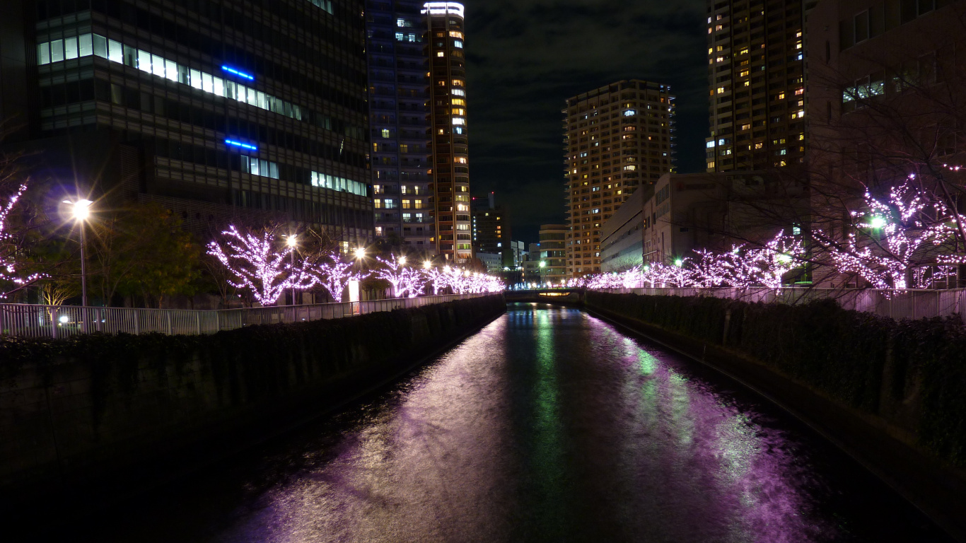 Lumières Violettes Sur le Pont Pendant la Nuit. Wallpaper in 1366x768 Resolution