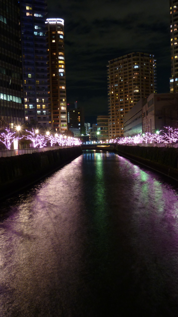 Lumières Violettes Sur le Pont Pendant la Nuit. Wallpaper in 750x1334 Resolution