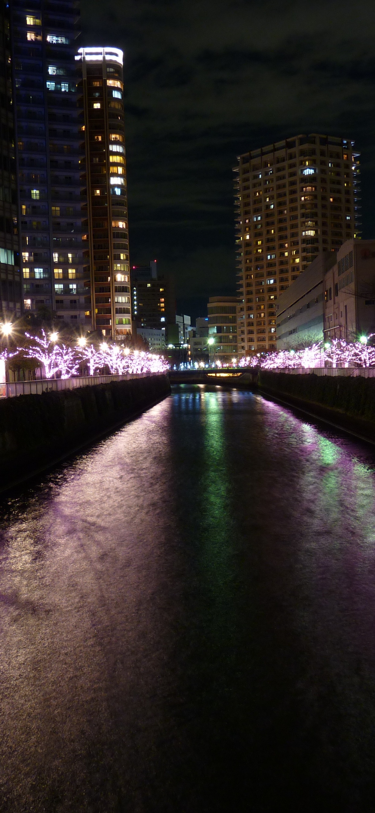 Lila Lichter Auf Der Brücke Während Der Nacht. Wallpaper in 1242x2688 Resolution