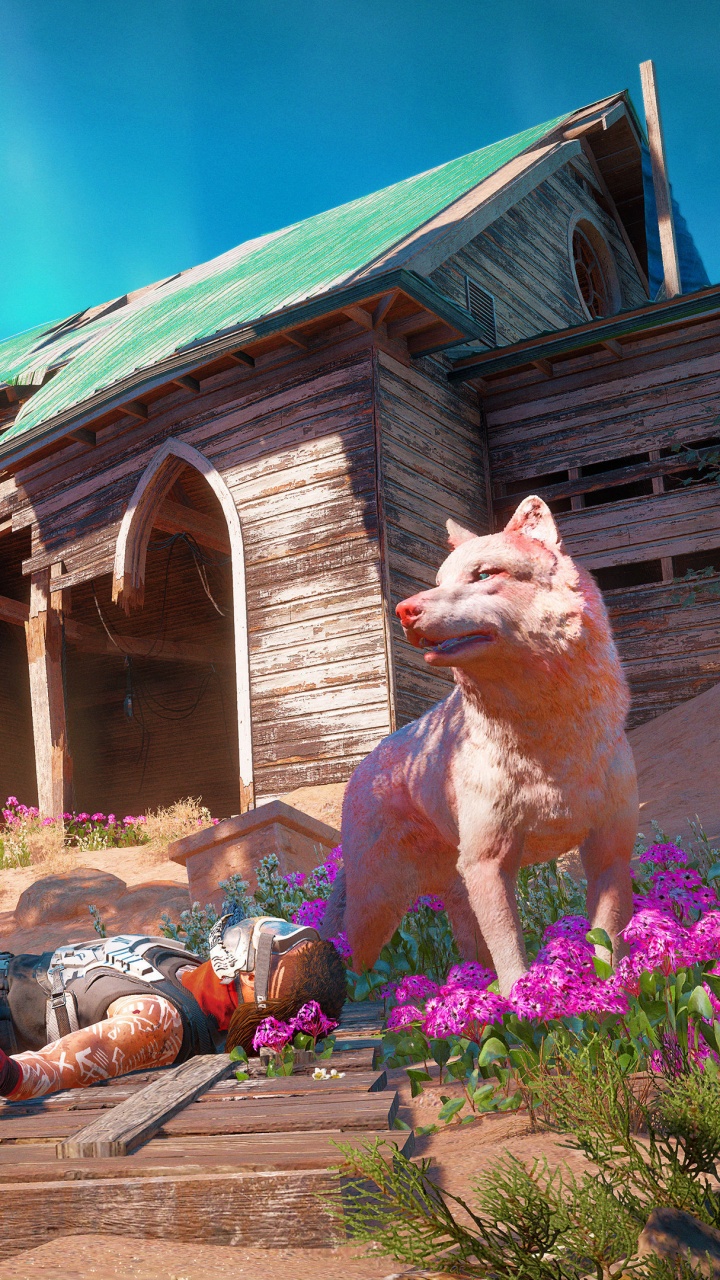 Far Cry New Dawn, Far Cry 5, Ubisoft, Doomsday, Fawn. Wallpaper in 720x1280 Resolution