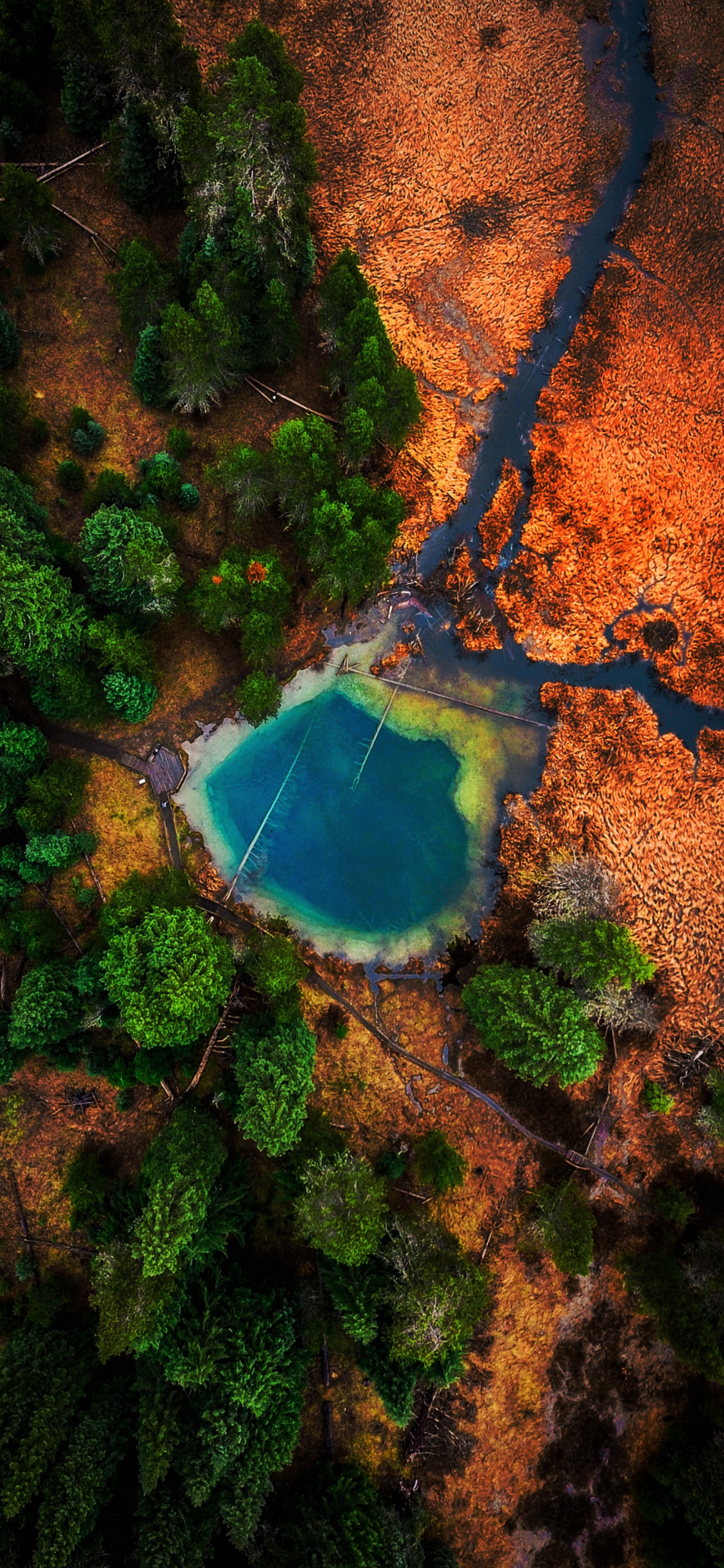 Naturaleza, Tierra, Curso de Agua, Los Recursos de Agua, Agua. Wallpaper in 1242x2688 Resolution